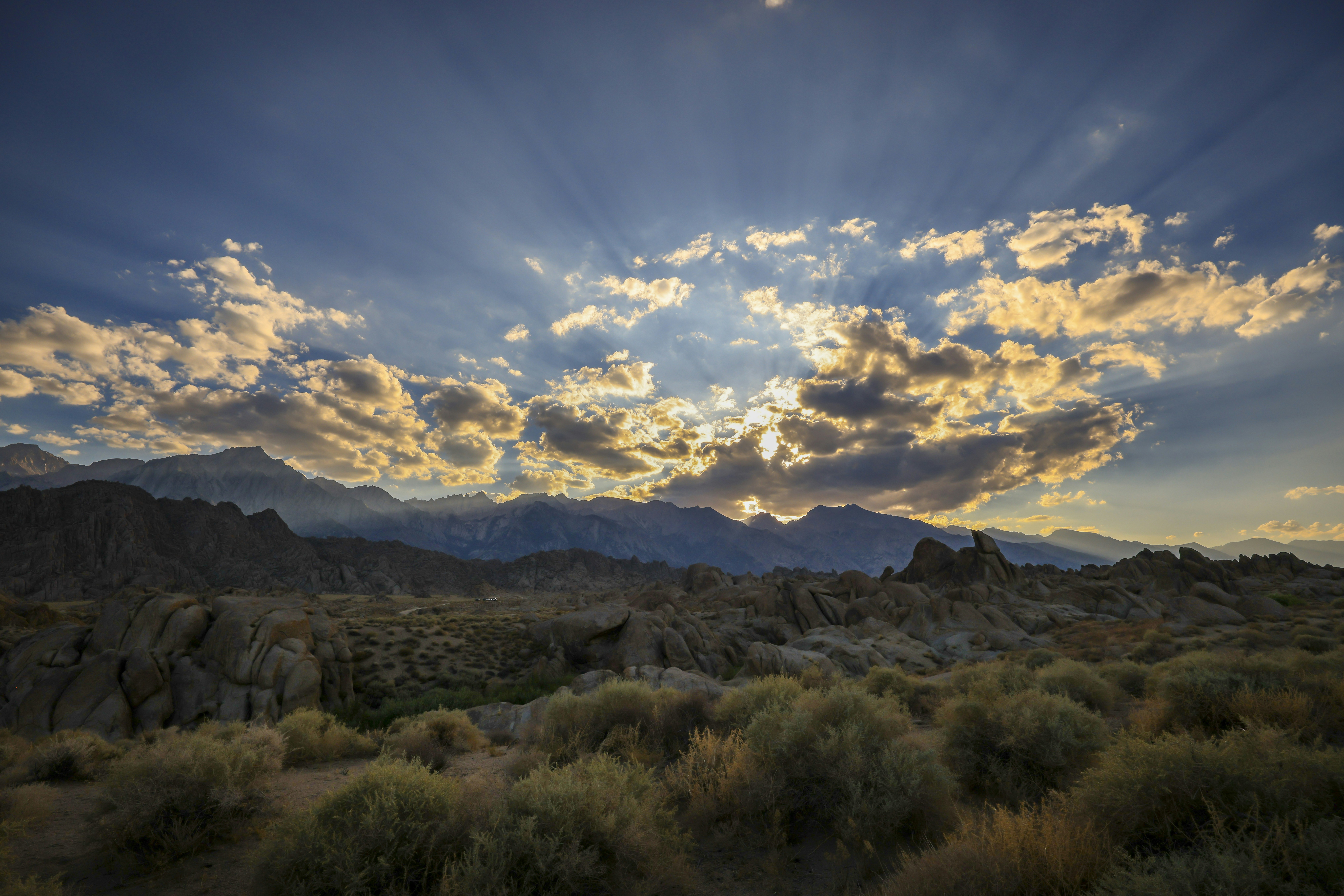 Photo by leo_visions_