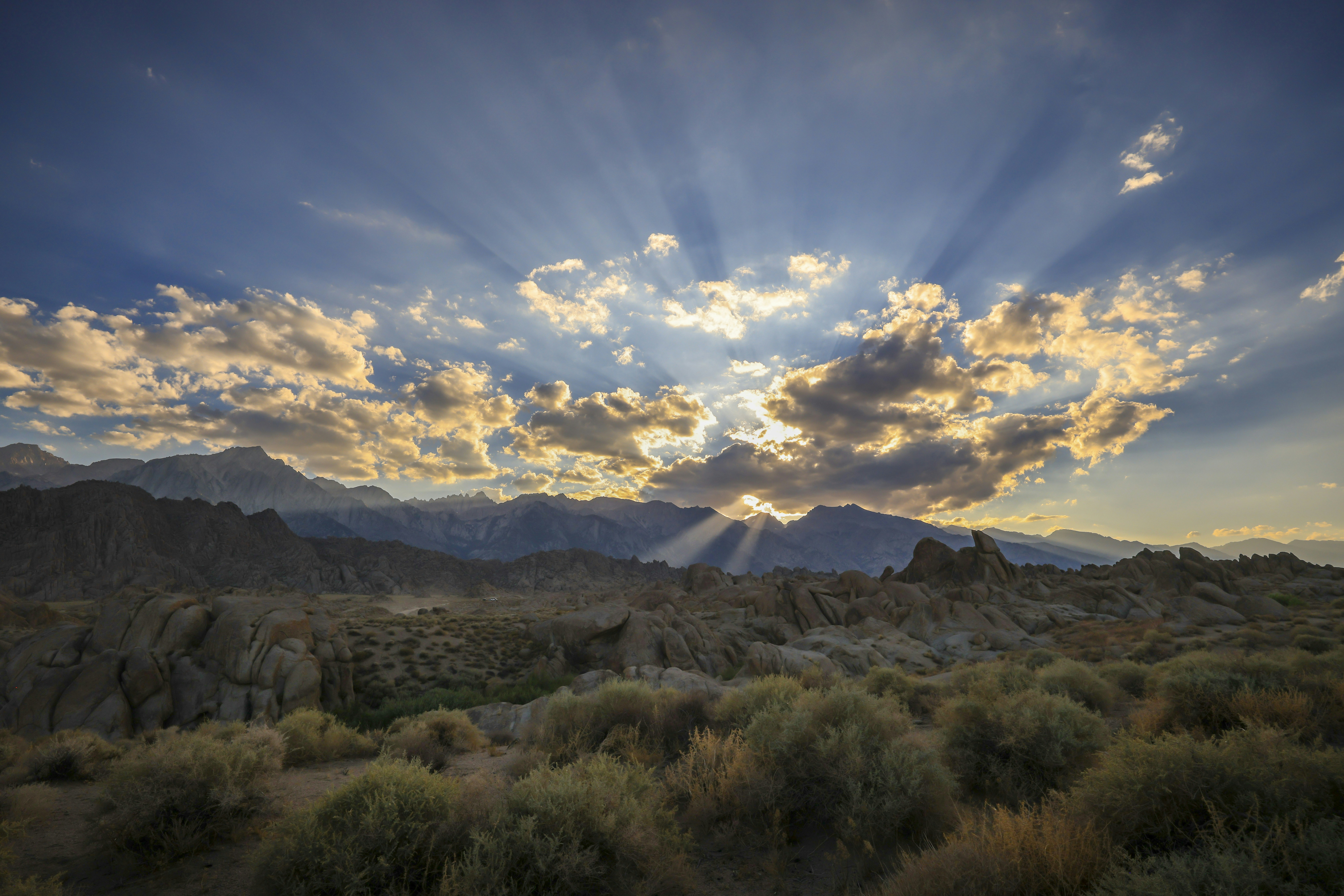 Photo by leo_visions_