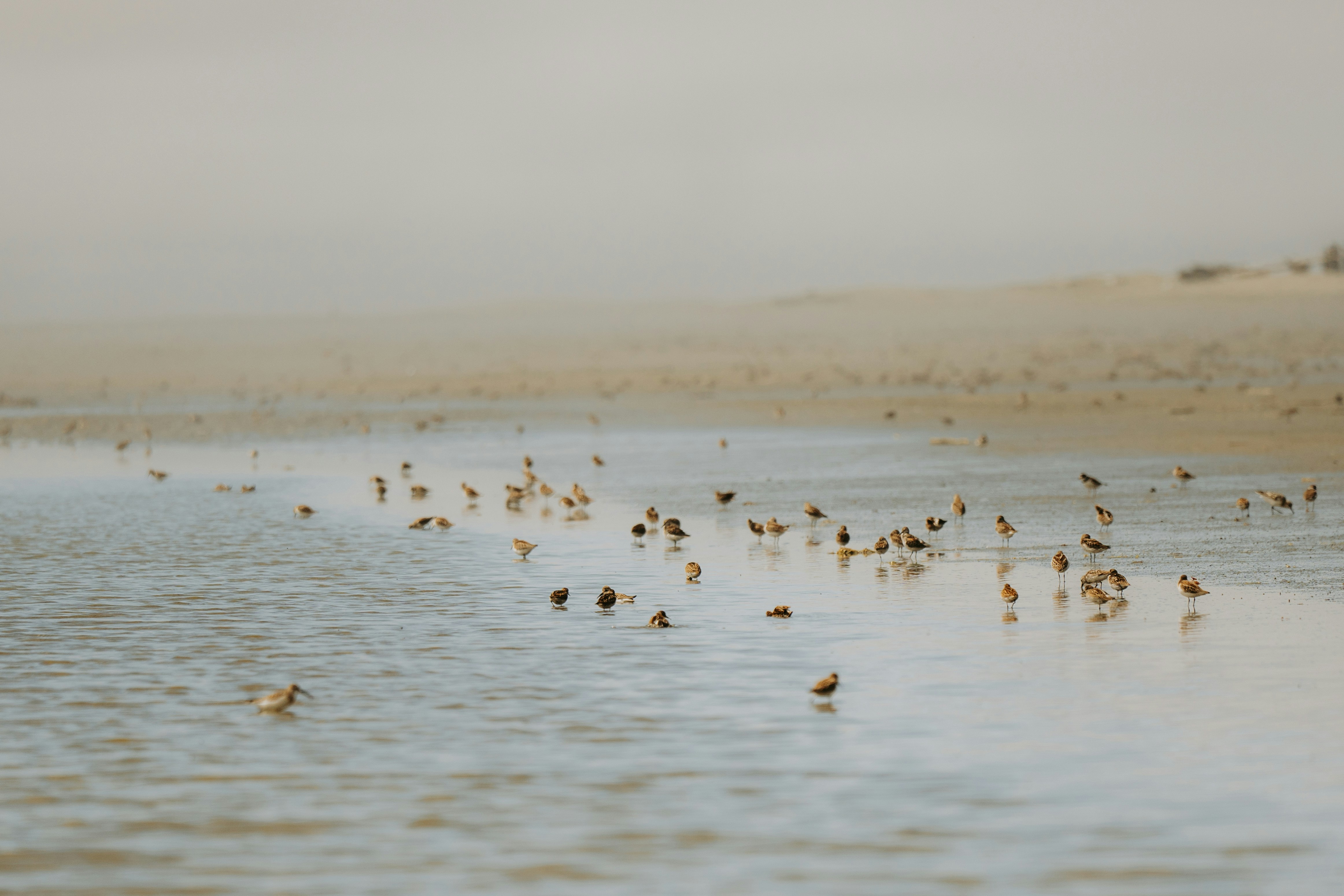 Photo by bylukemiller