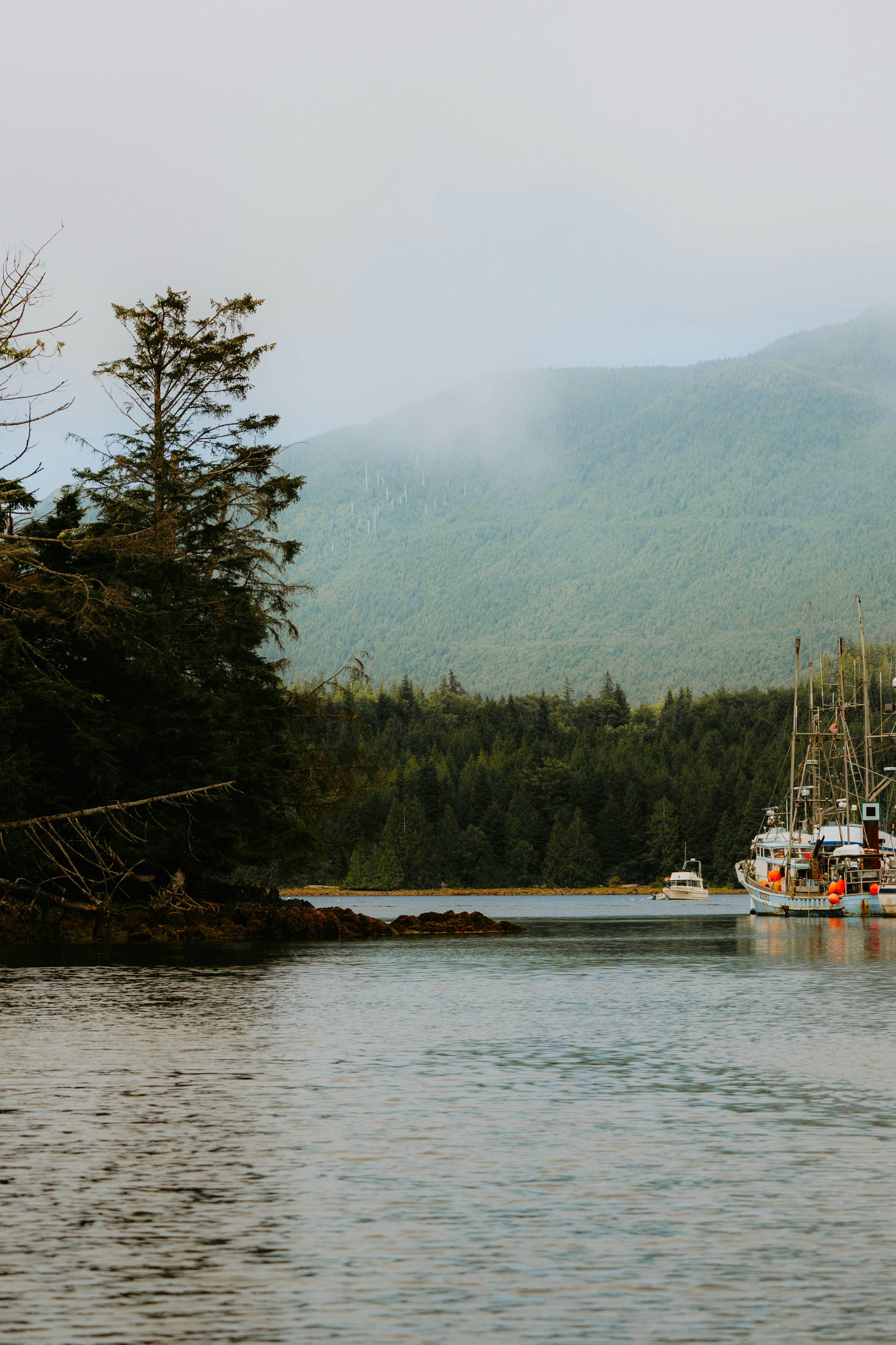 Photo by bylukemiller