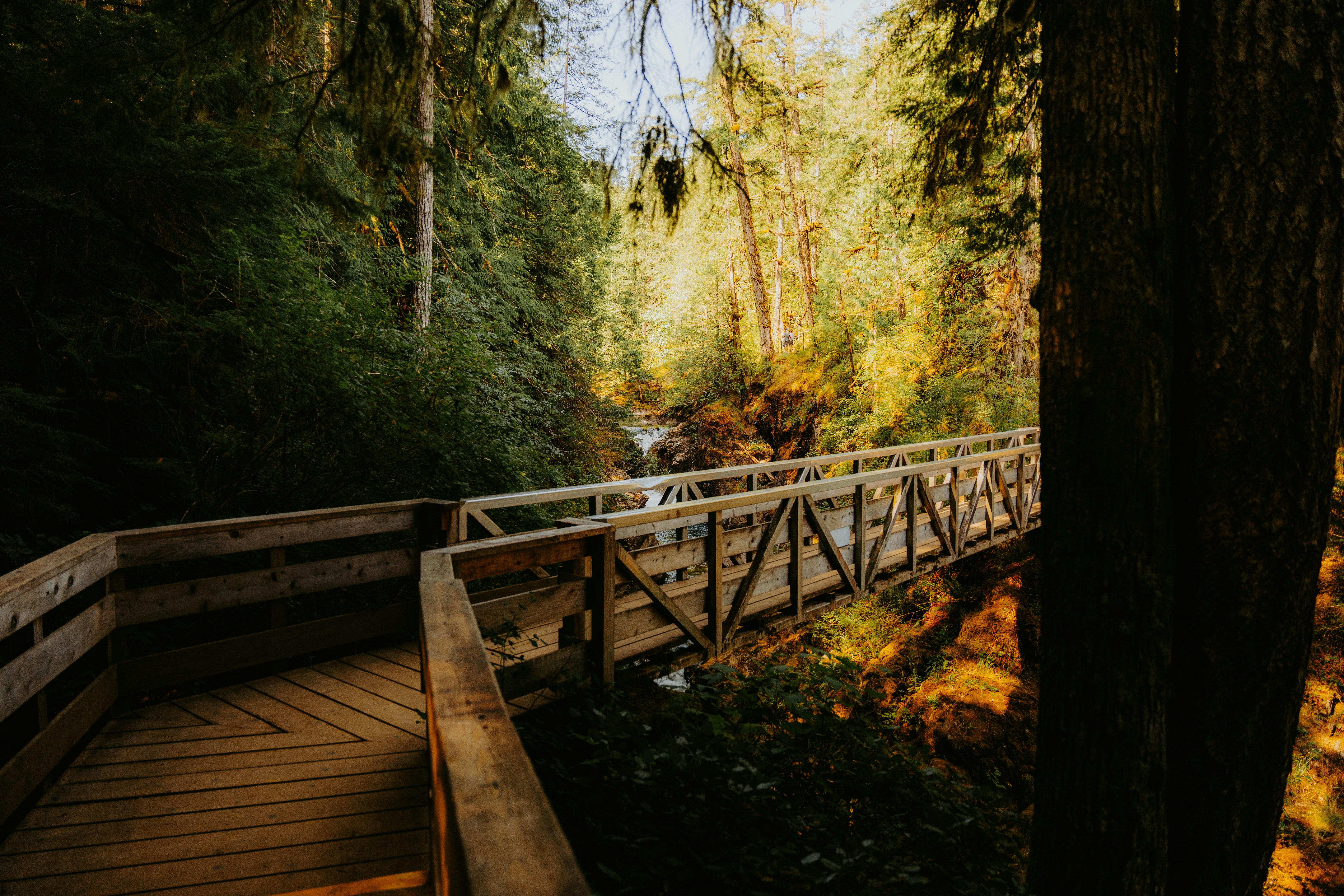 Photo by bylukemiller