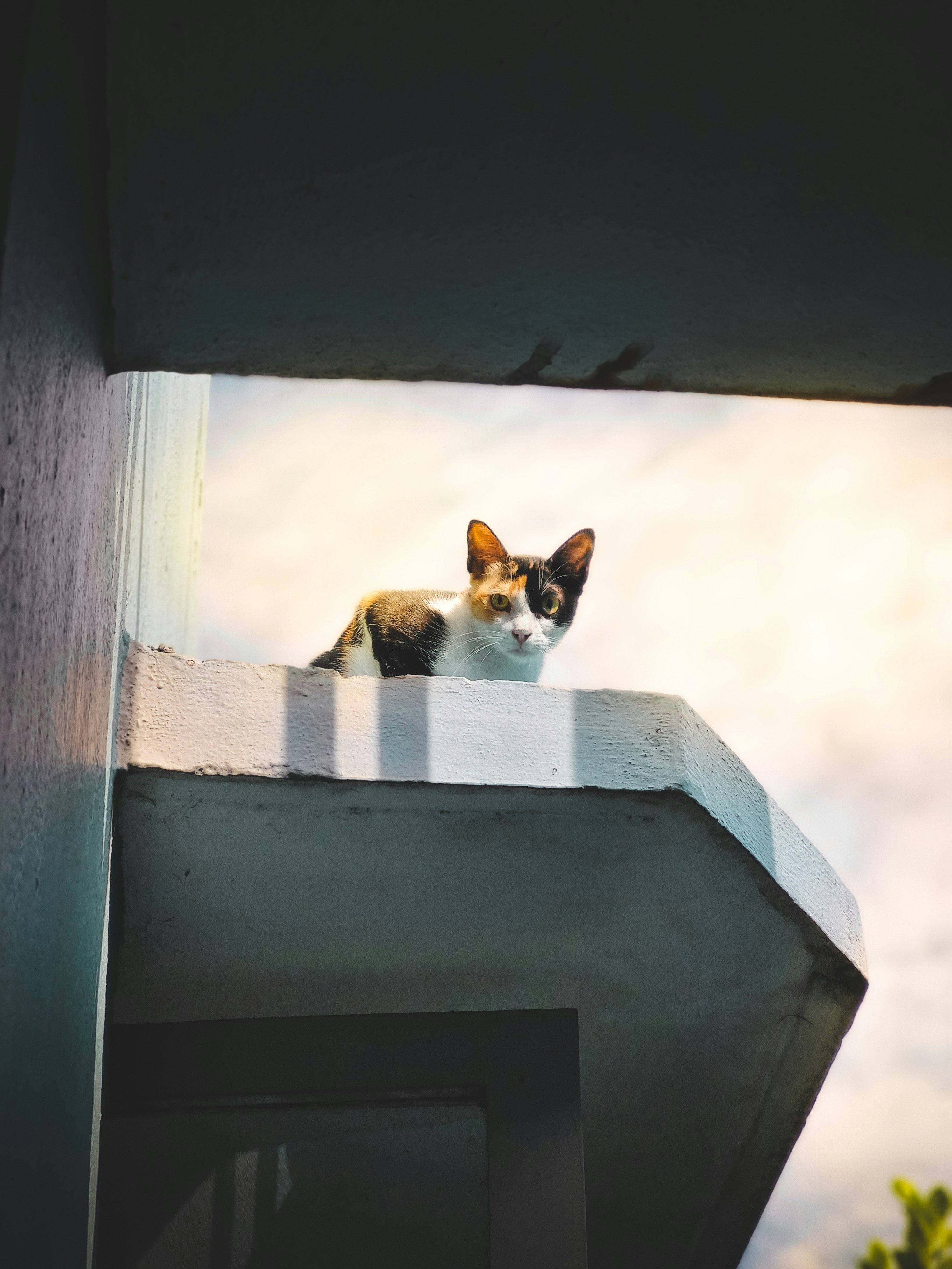 Photo by debargho_2006