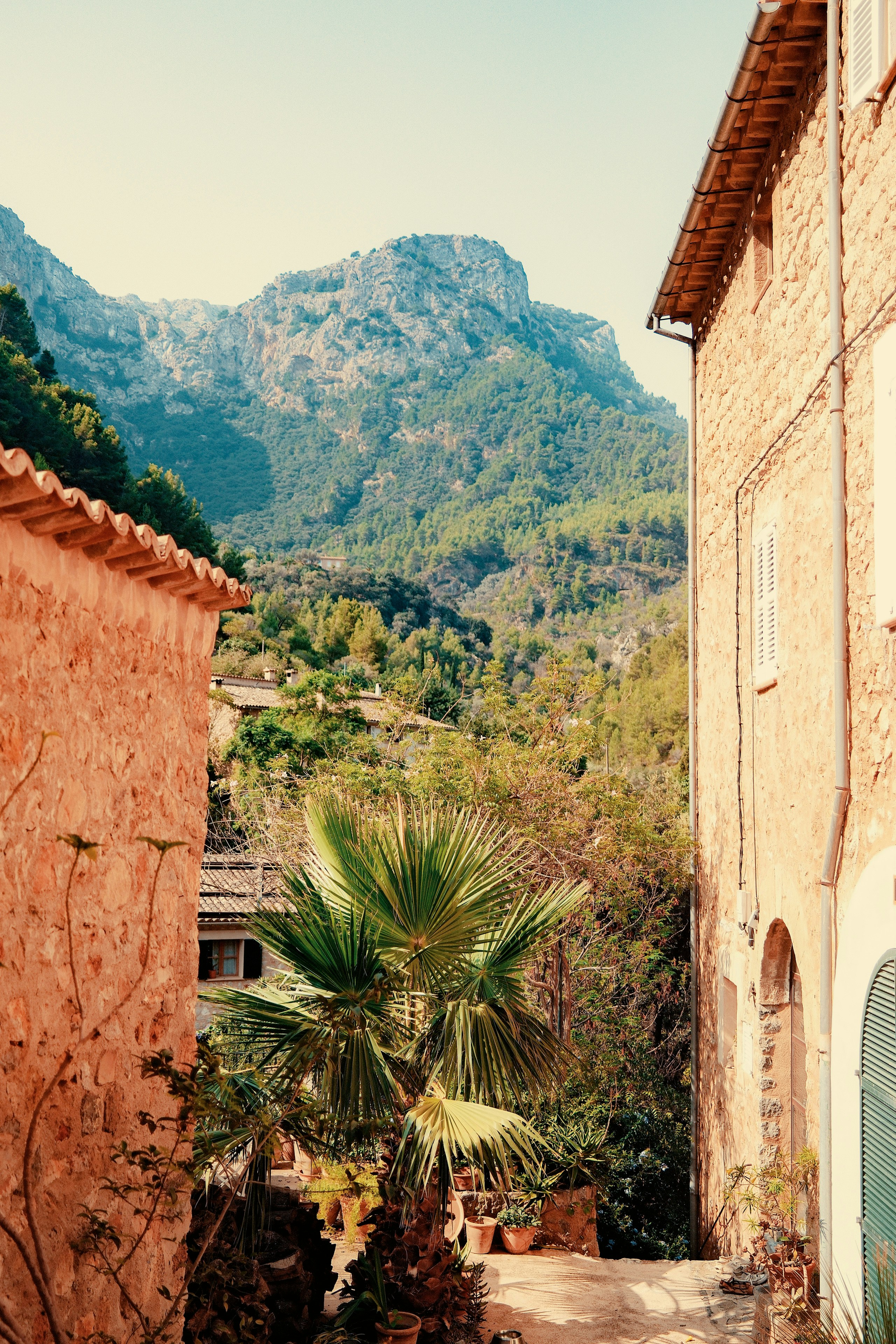 Photo by florianschmid