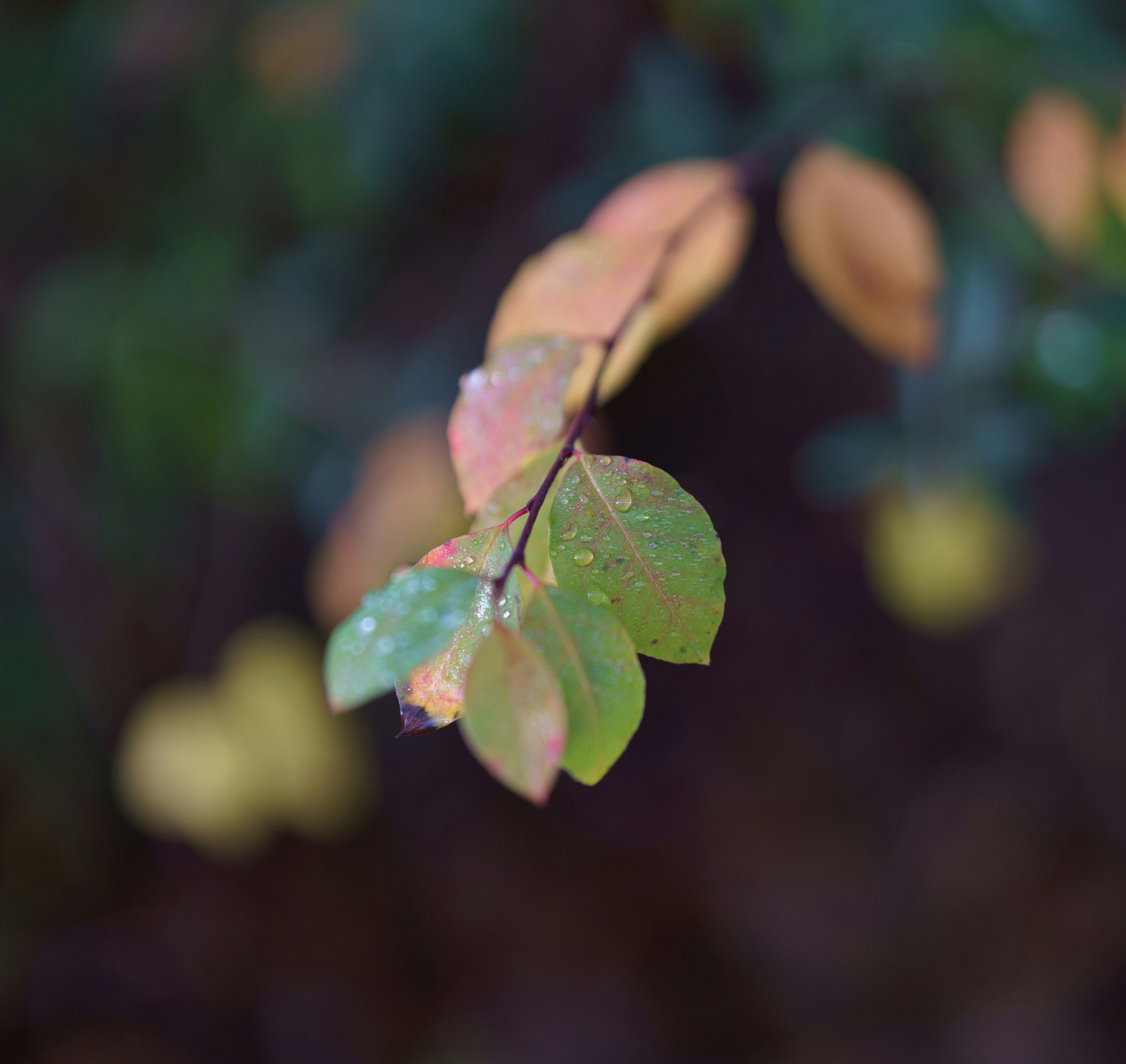 Photo by bangscreative