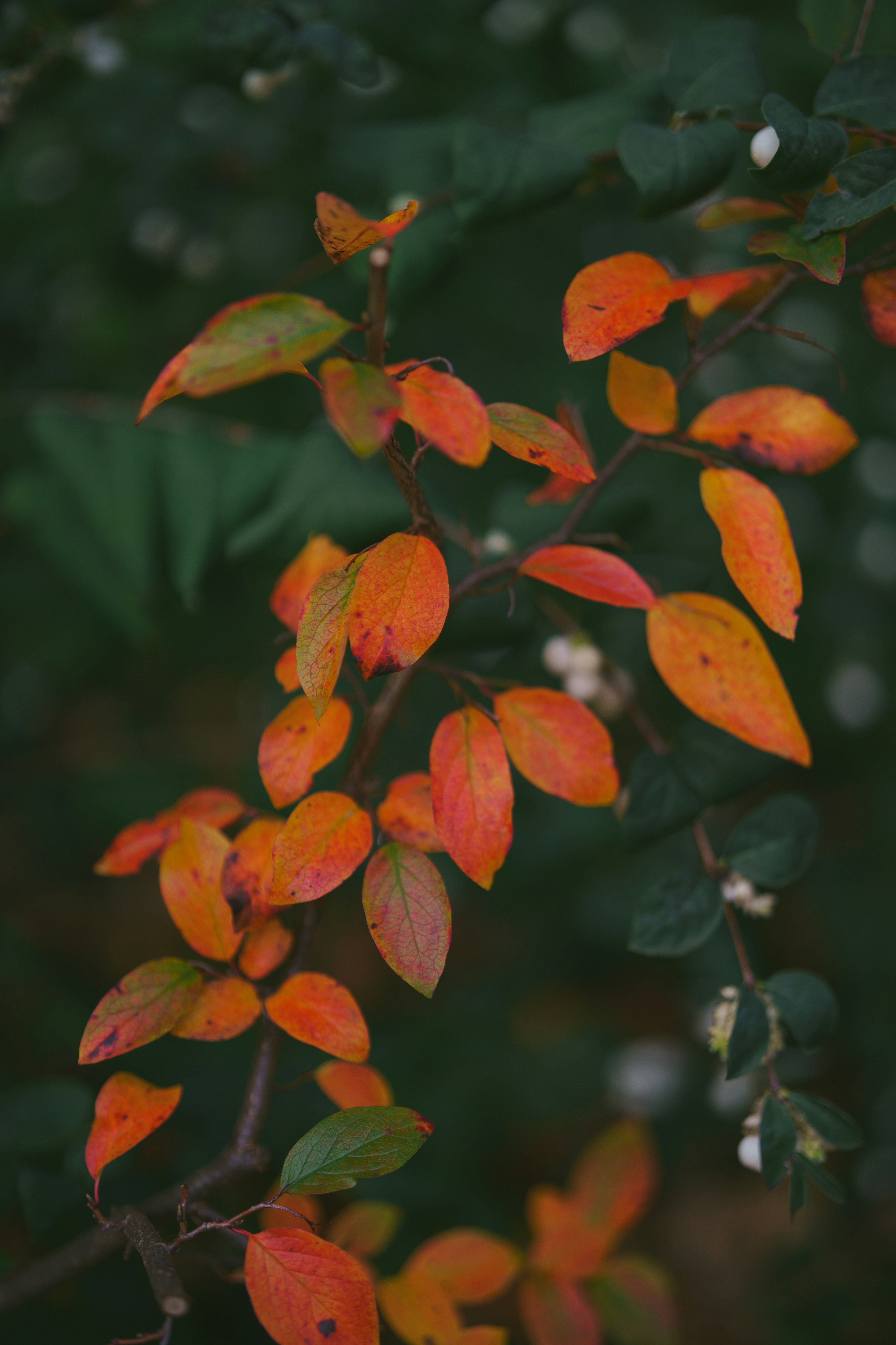 Photo by bangscreative