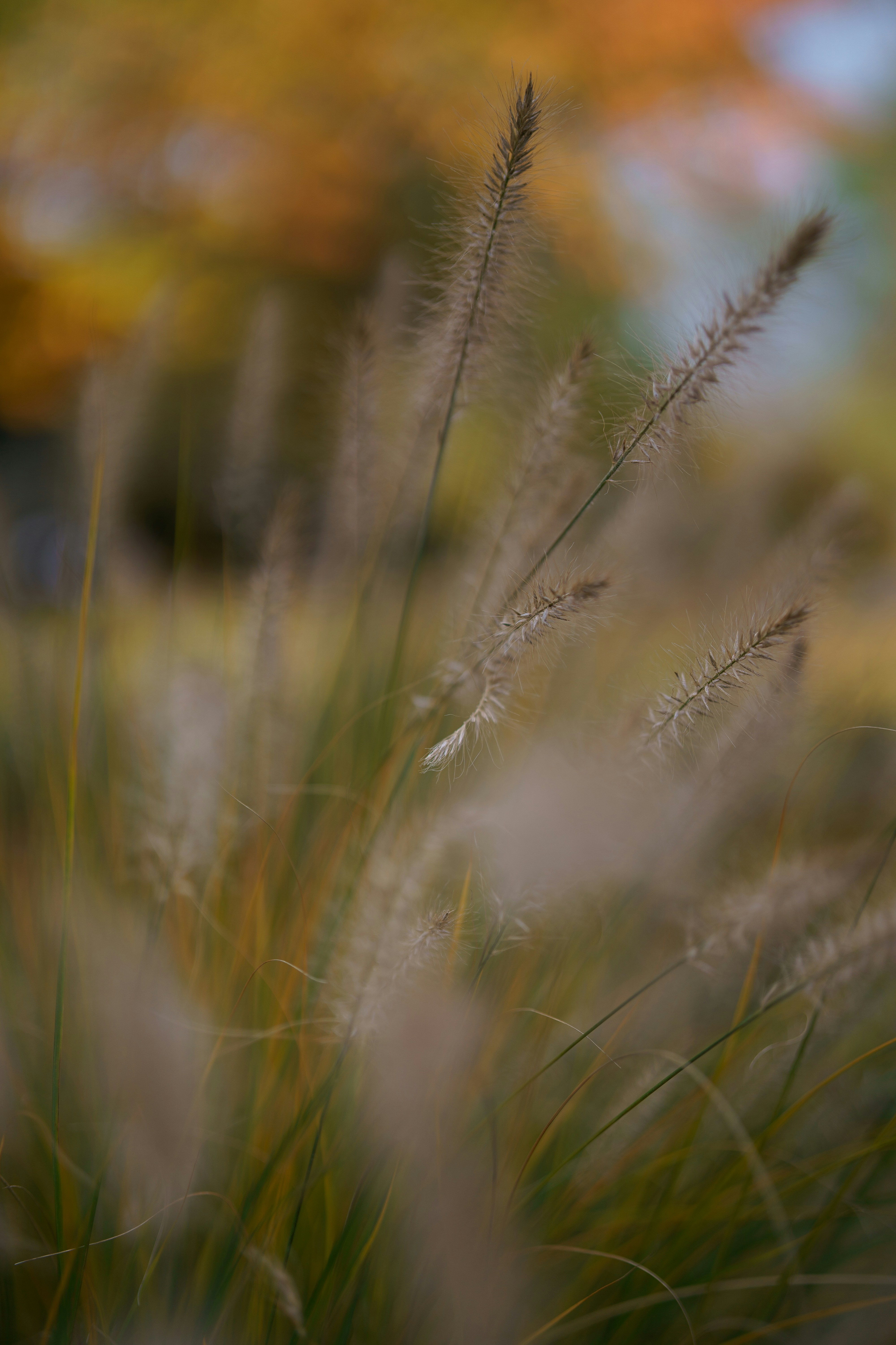 Photo by bangscreative