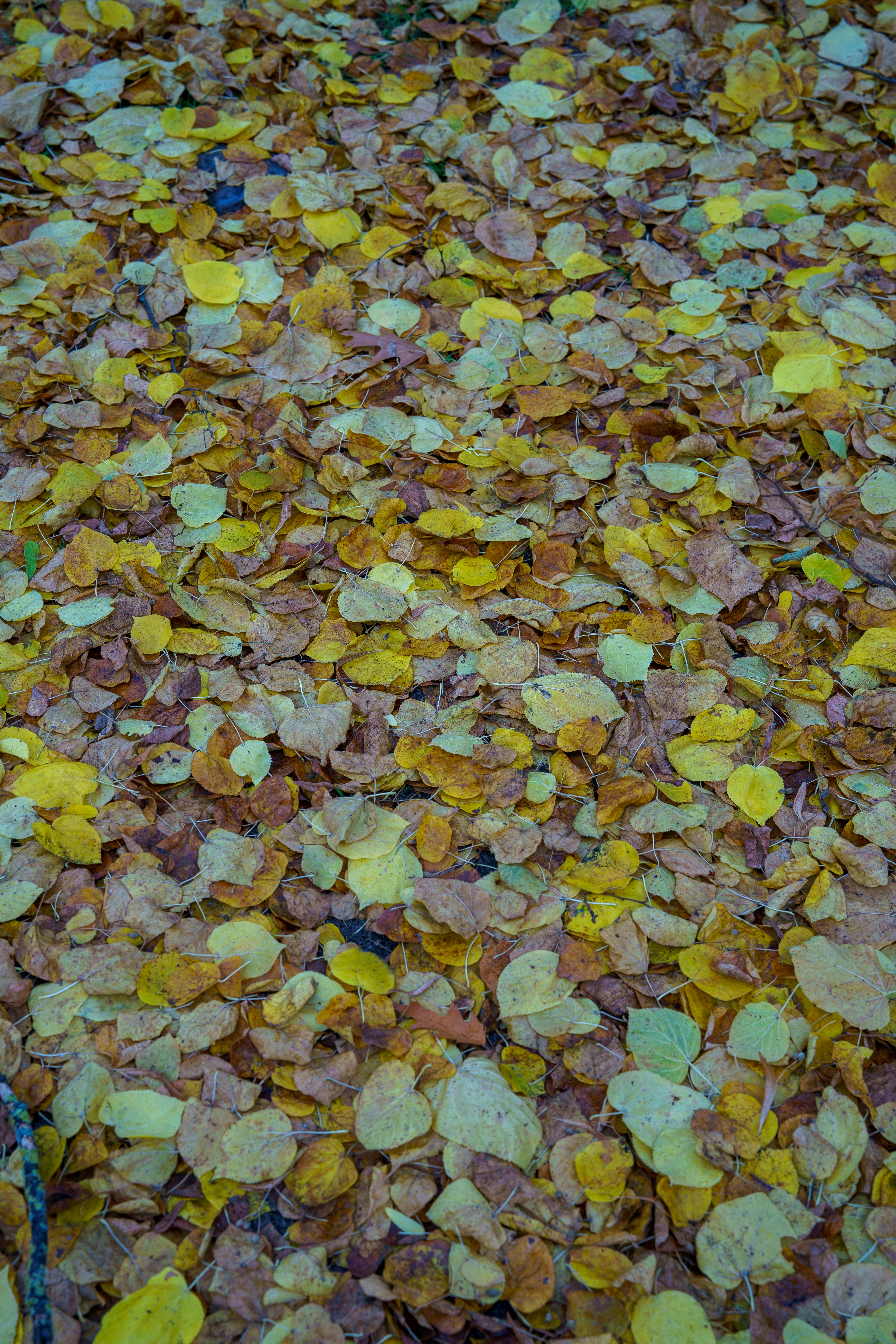 Photo by bangscreative