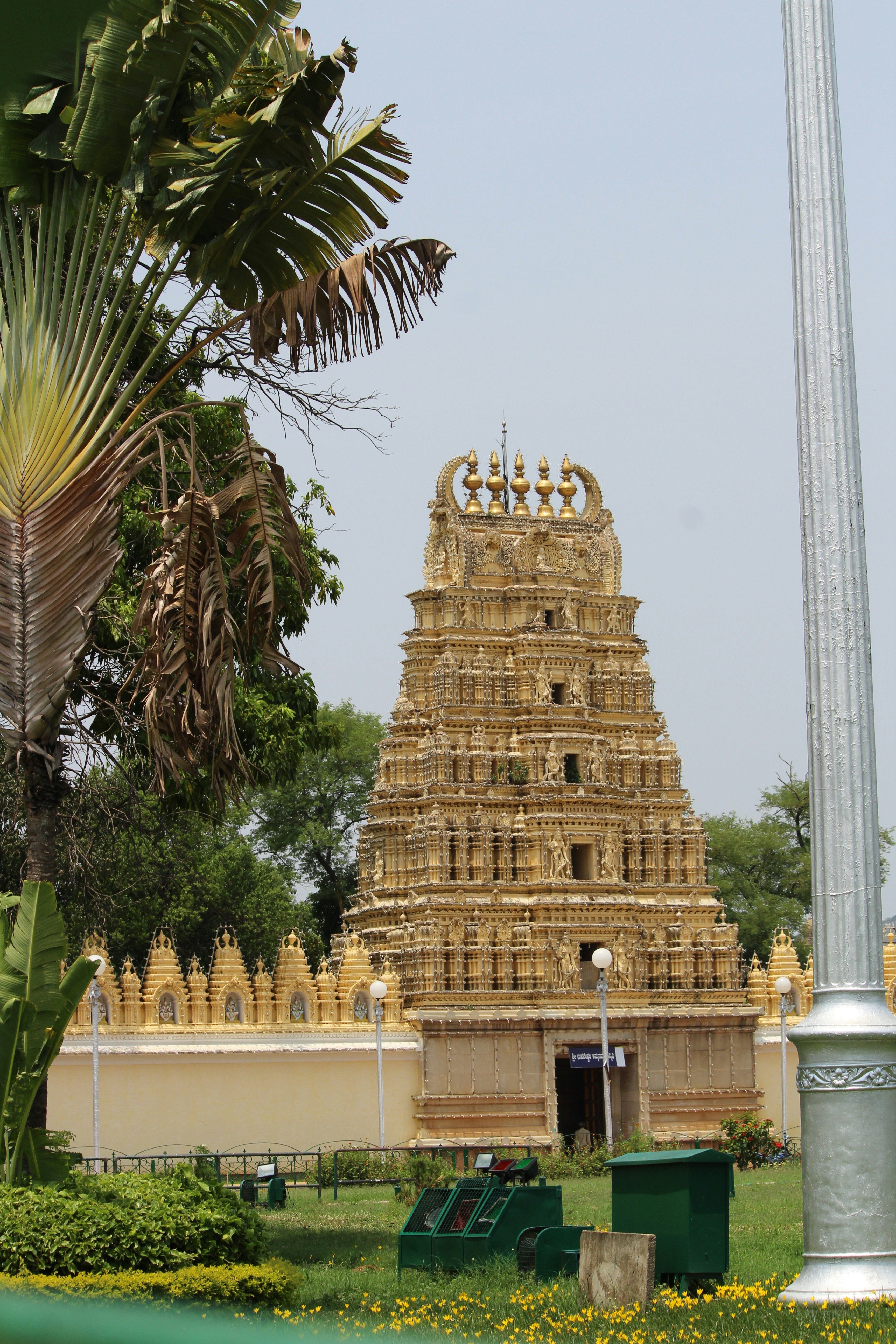 Photo by aditya_sethia_97