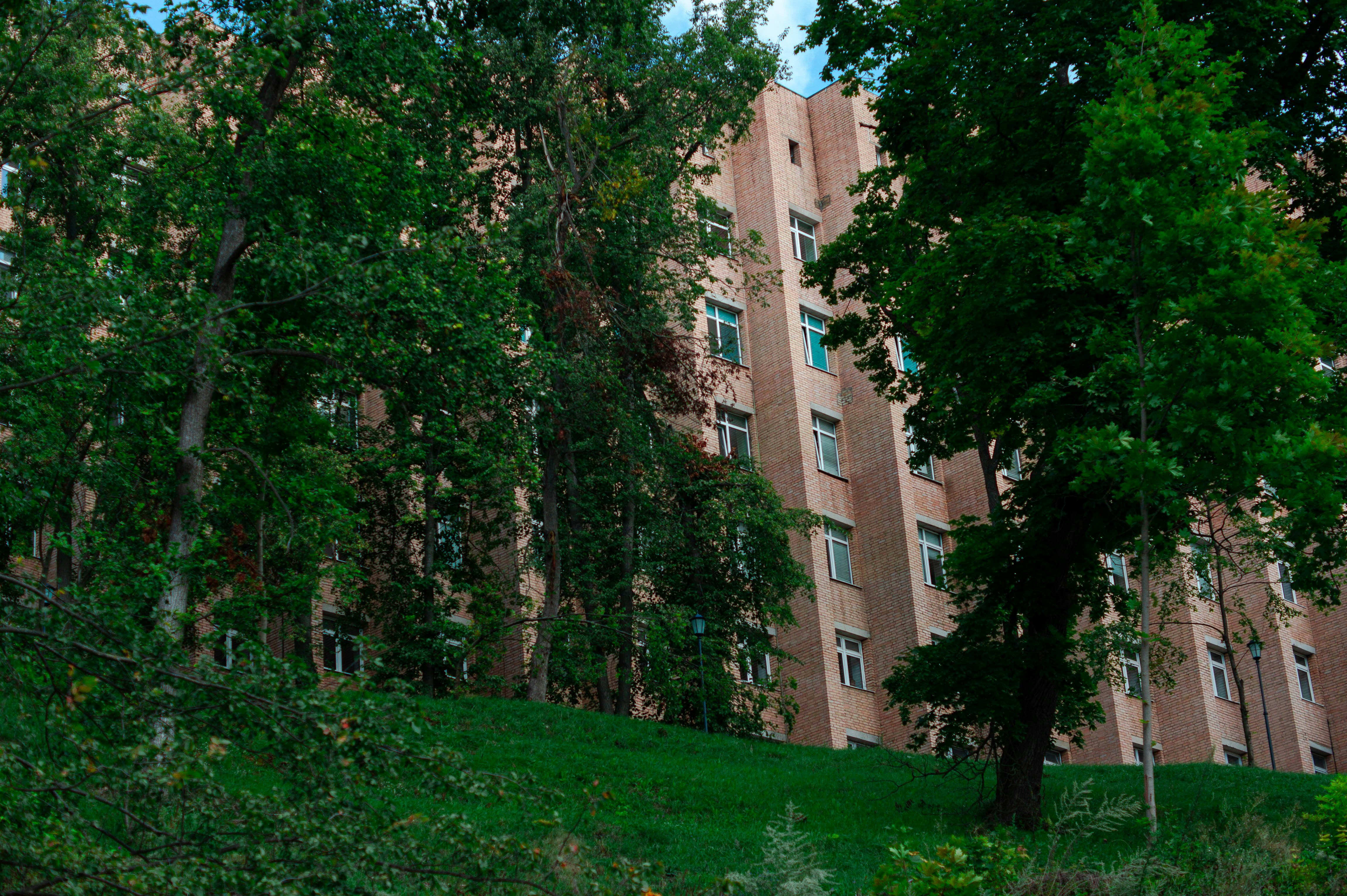 A tall building sitting next to a lush green forest