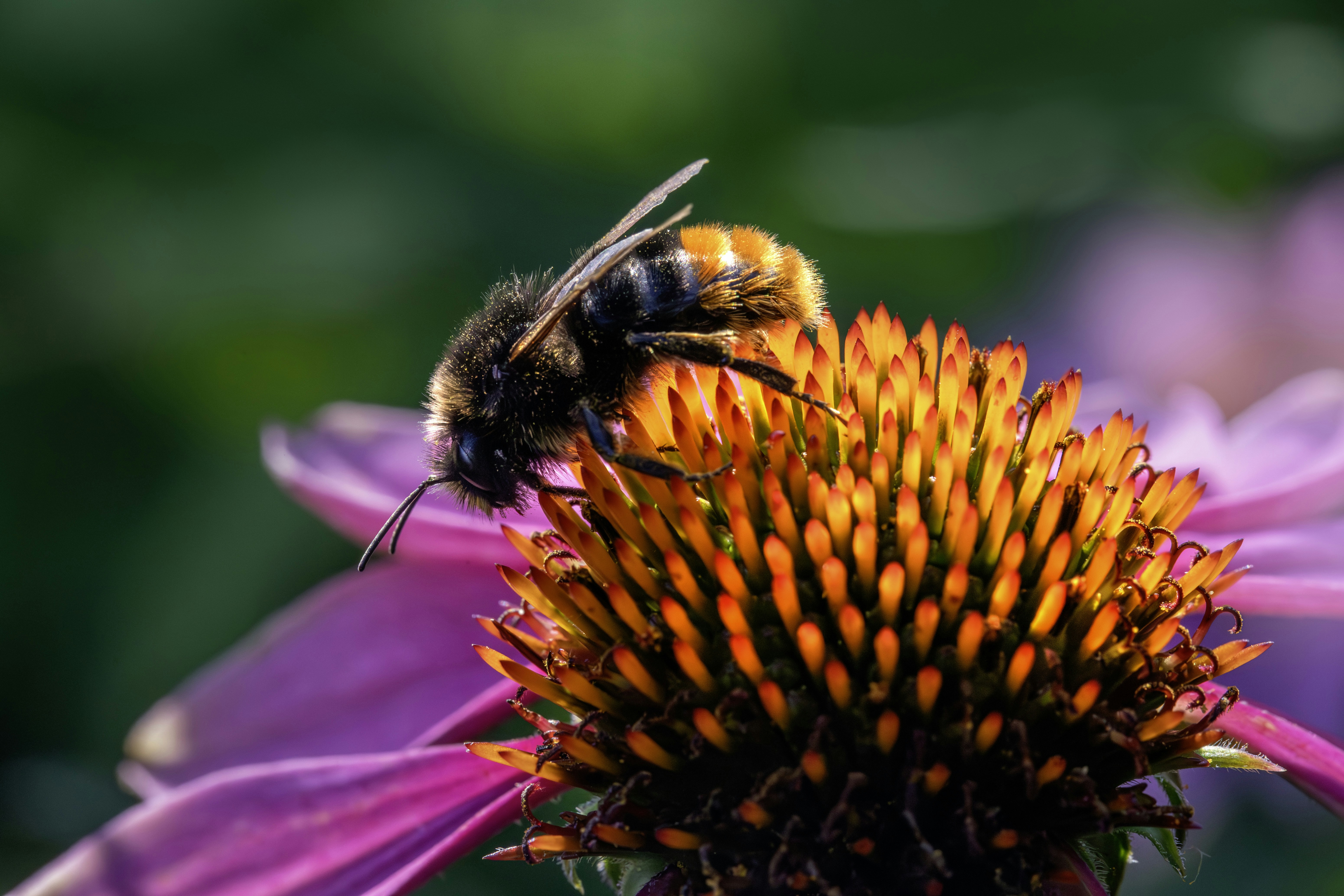 Photo by erik_karits