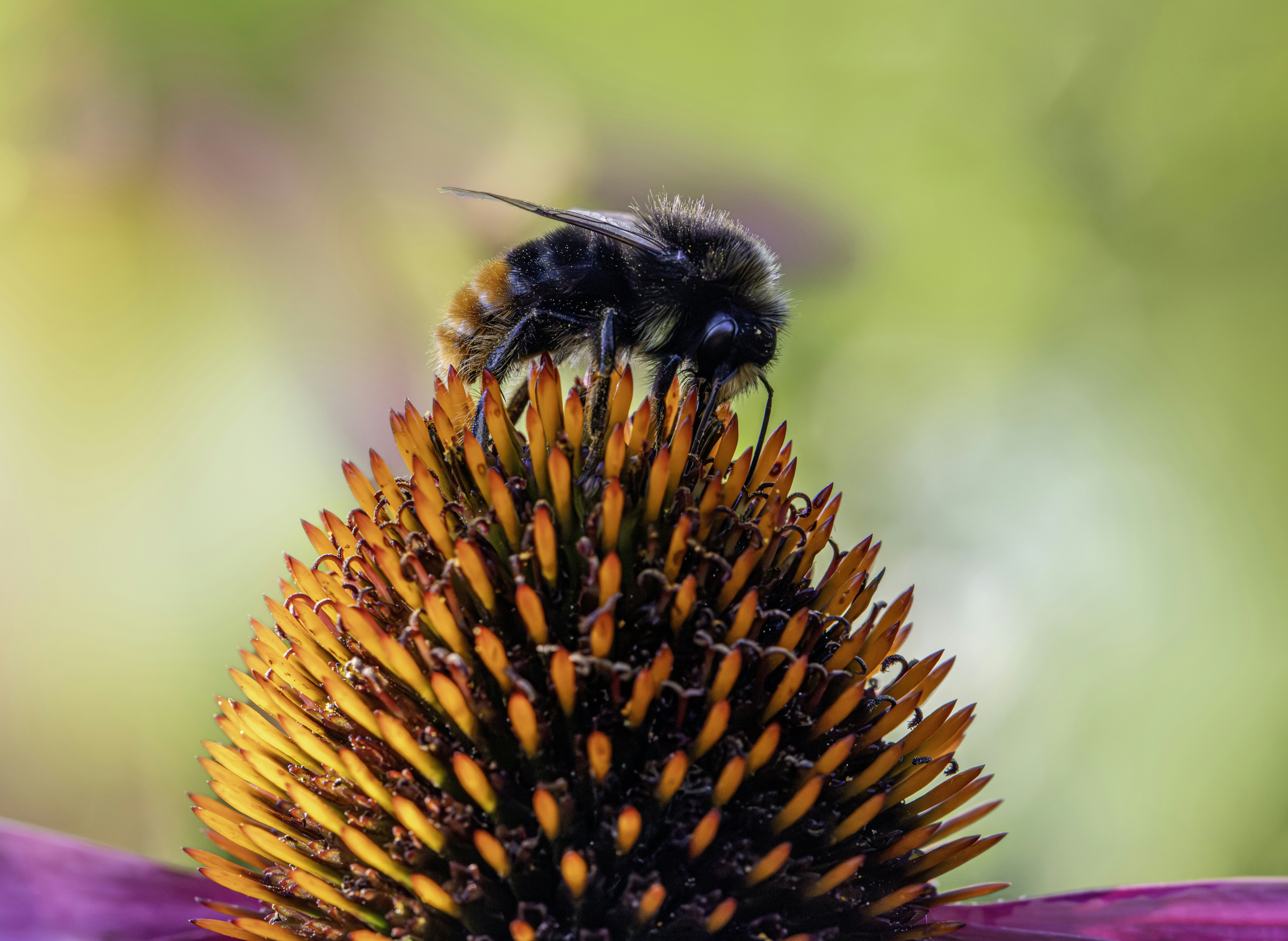 Photo by erik_karits