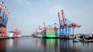 A large body of water filled with lots of cranes