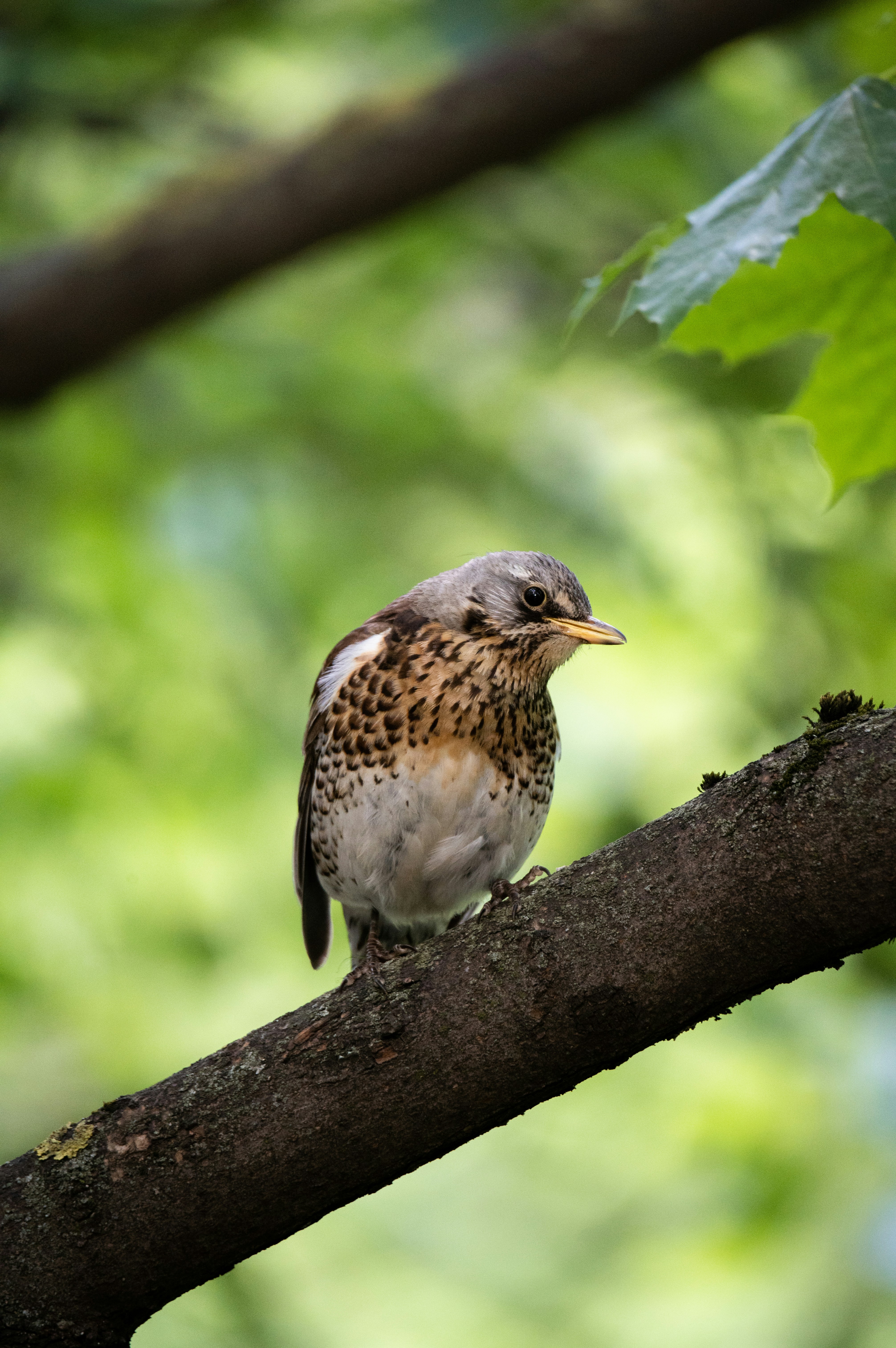 Photo by untitled_dream