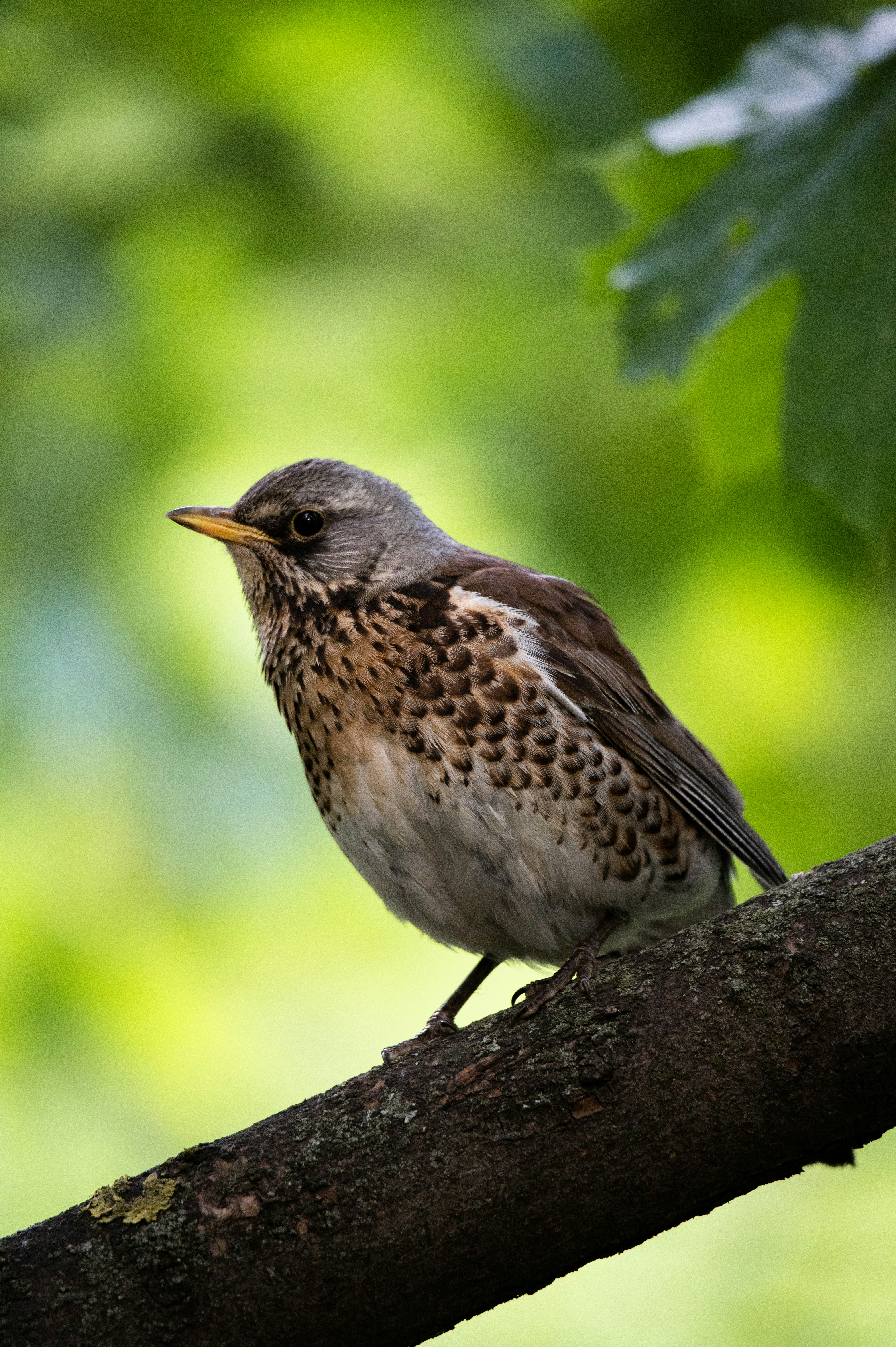 Photo by untitled_dream