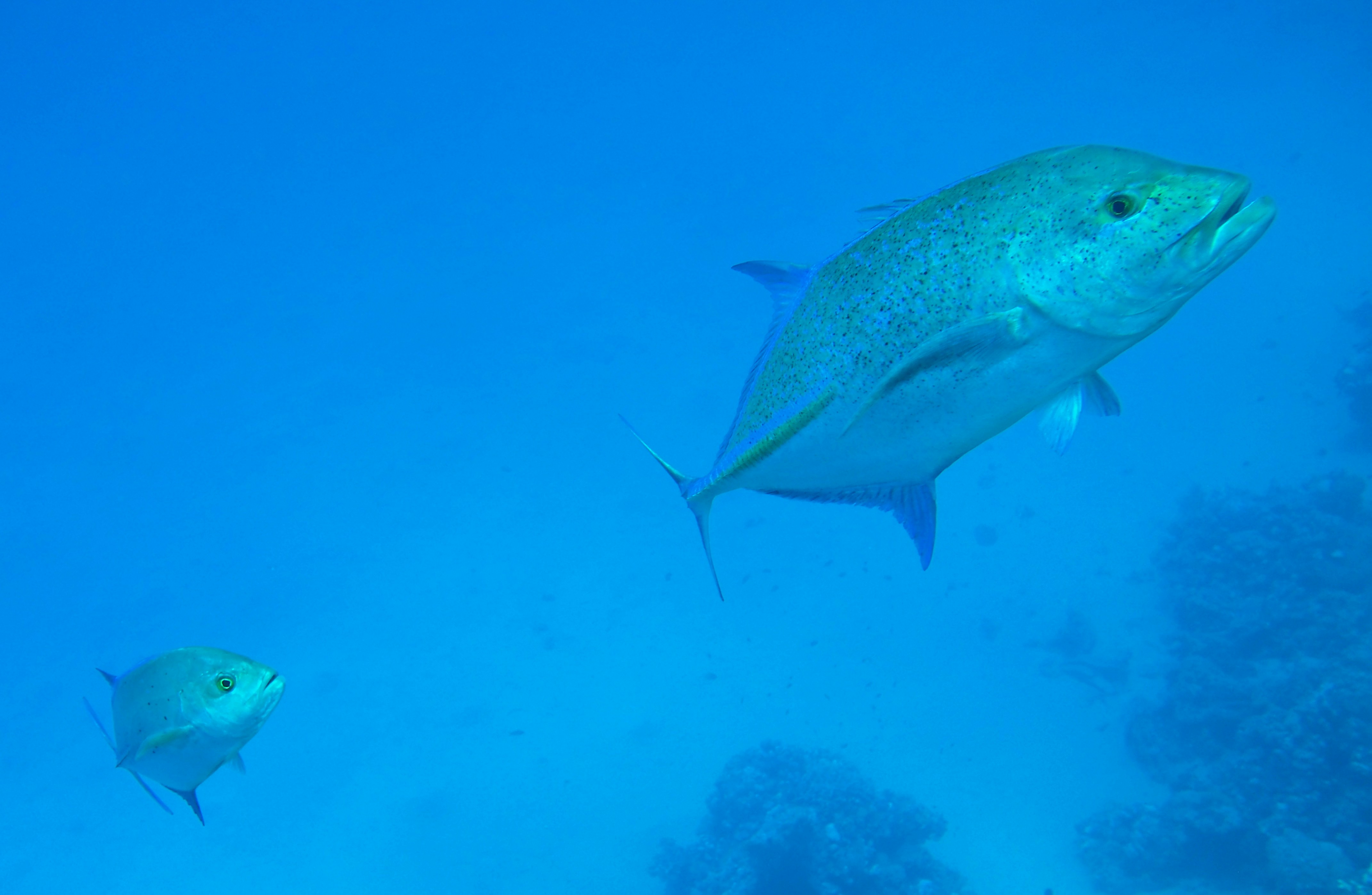 Photo by jakub_miovsky