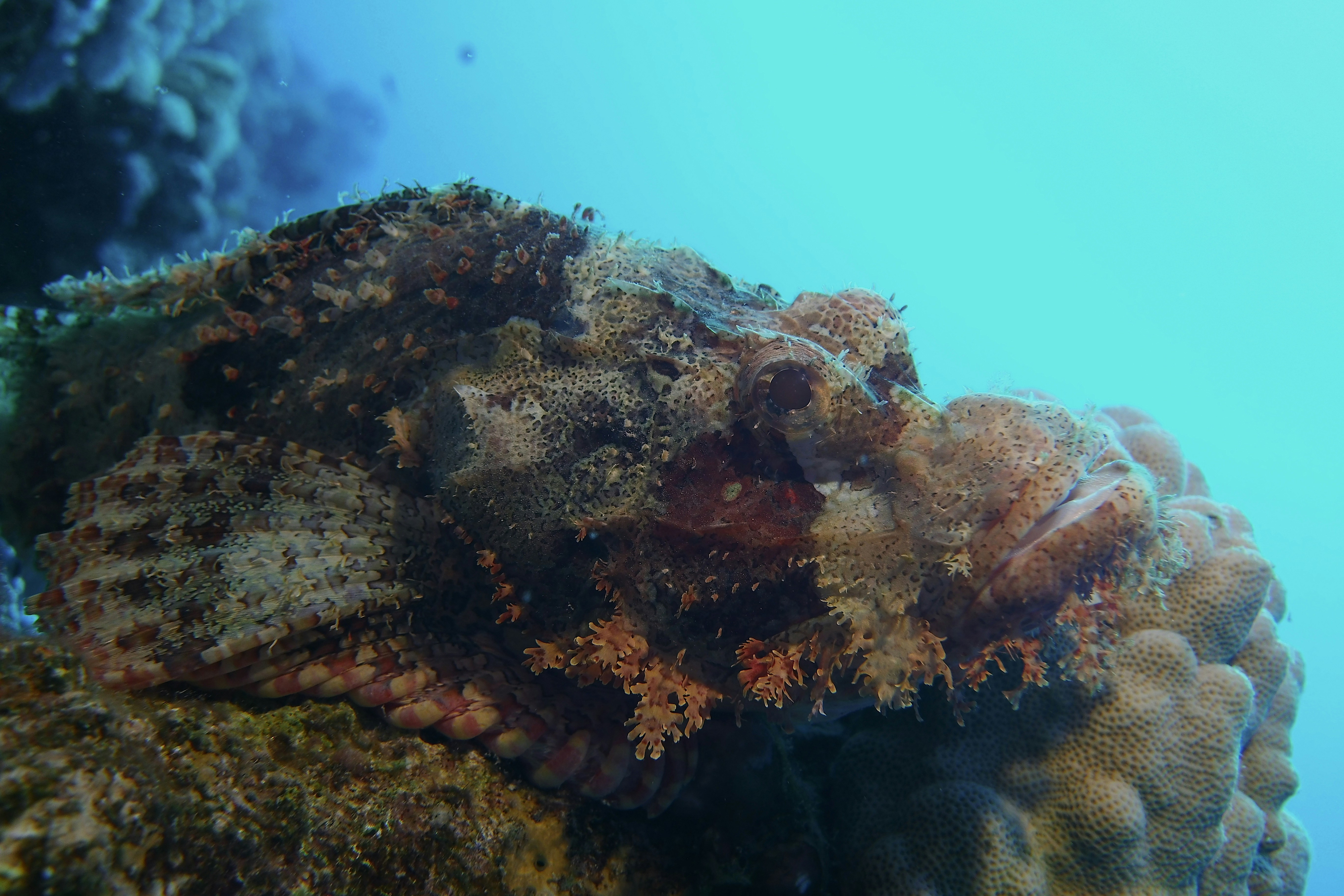 Photo by jakub_miovsky