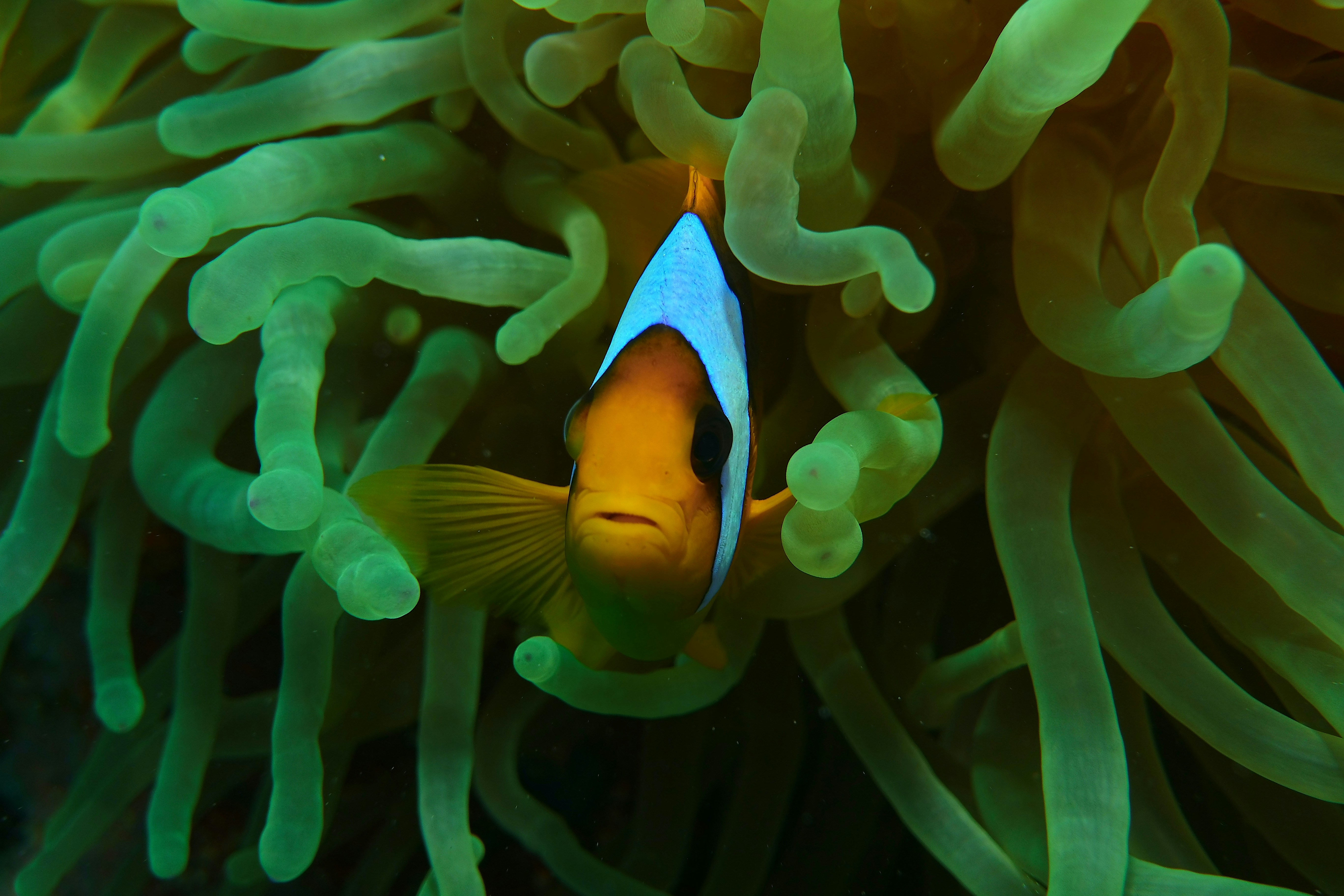 Photo by jakub_miovsky