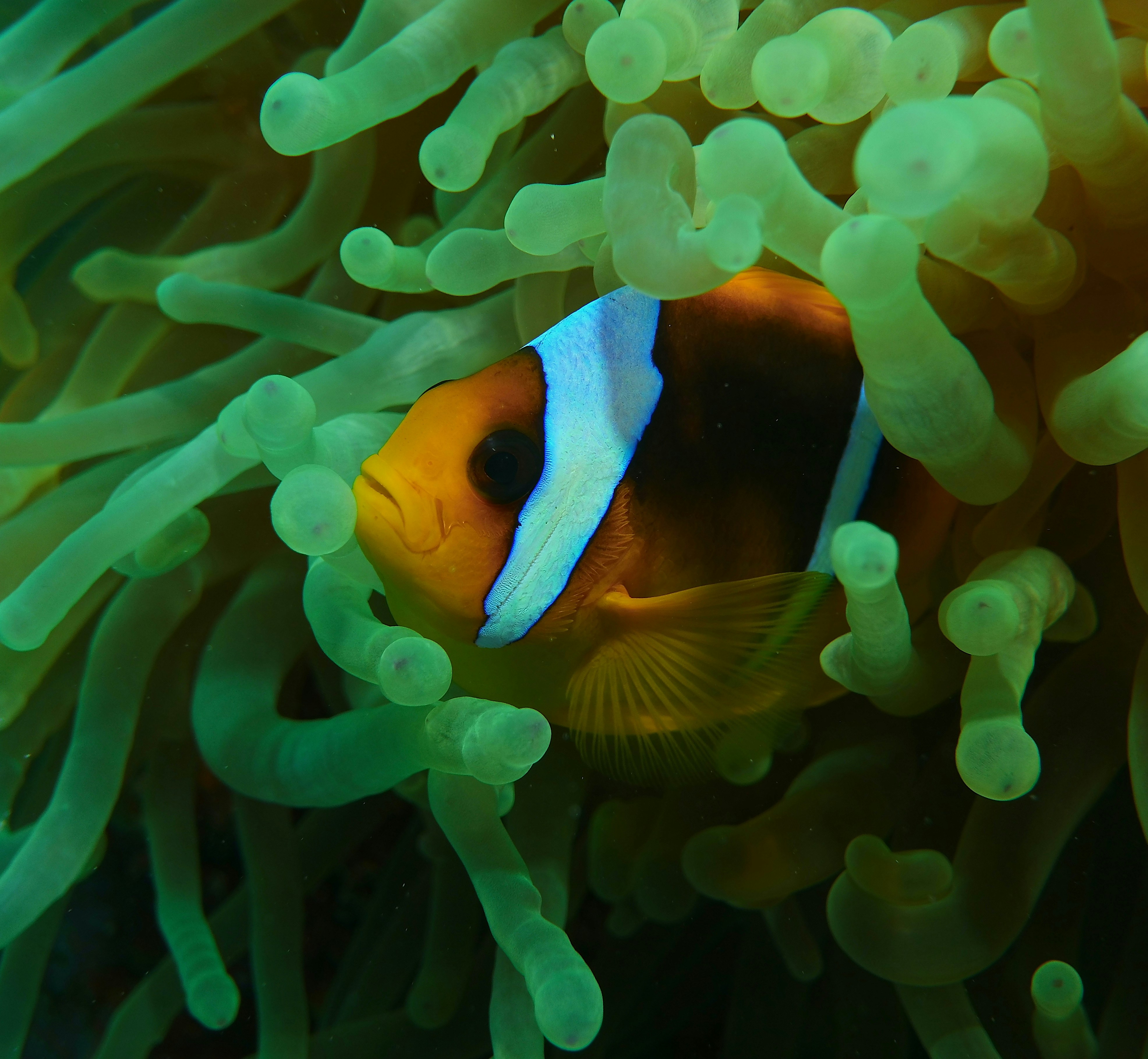 Photo by jakub_miovsky