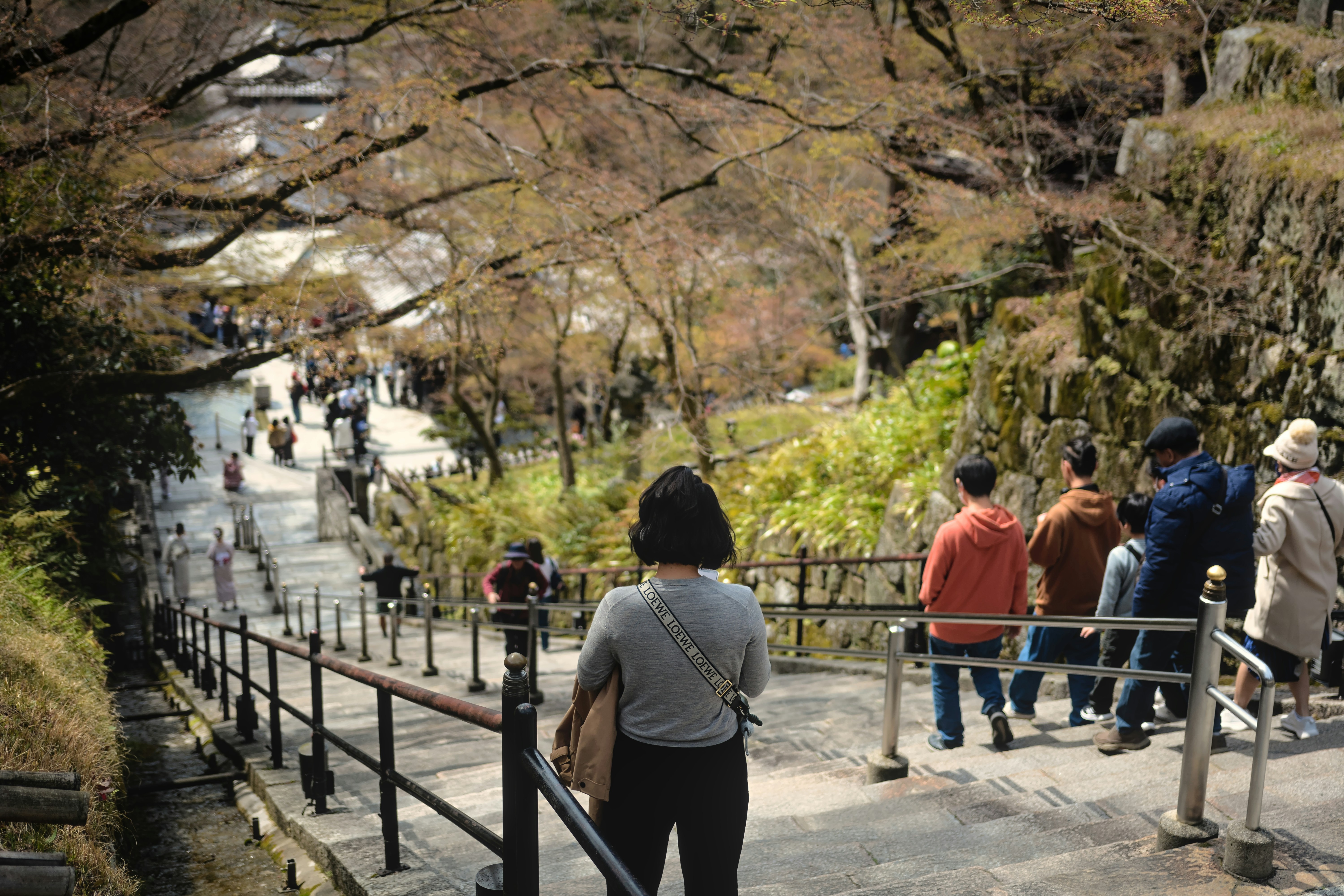 Japan Cherry Blossom Tour - Thumbnail 4