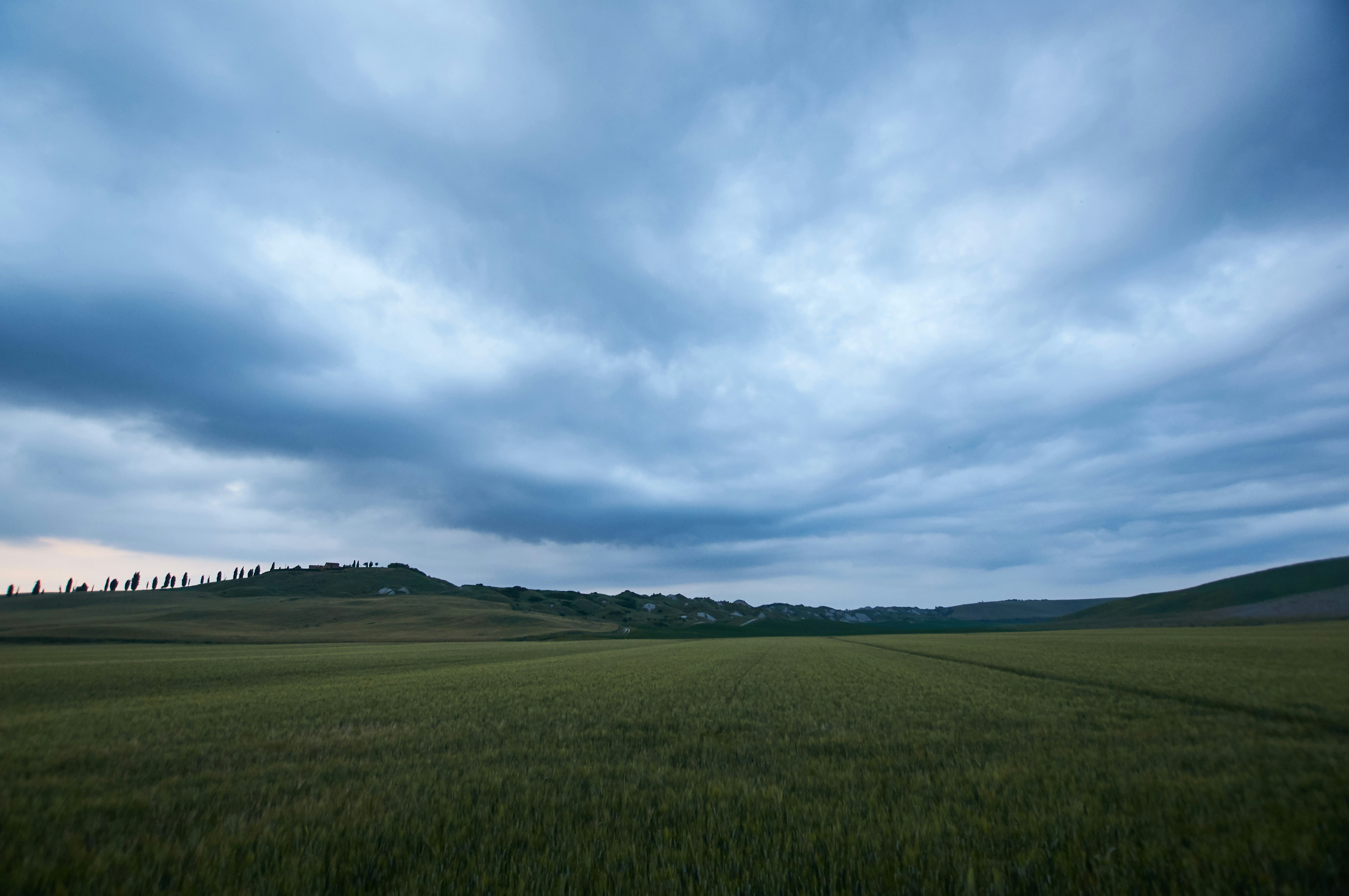 Photo by wolfgang_hasselmann