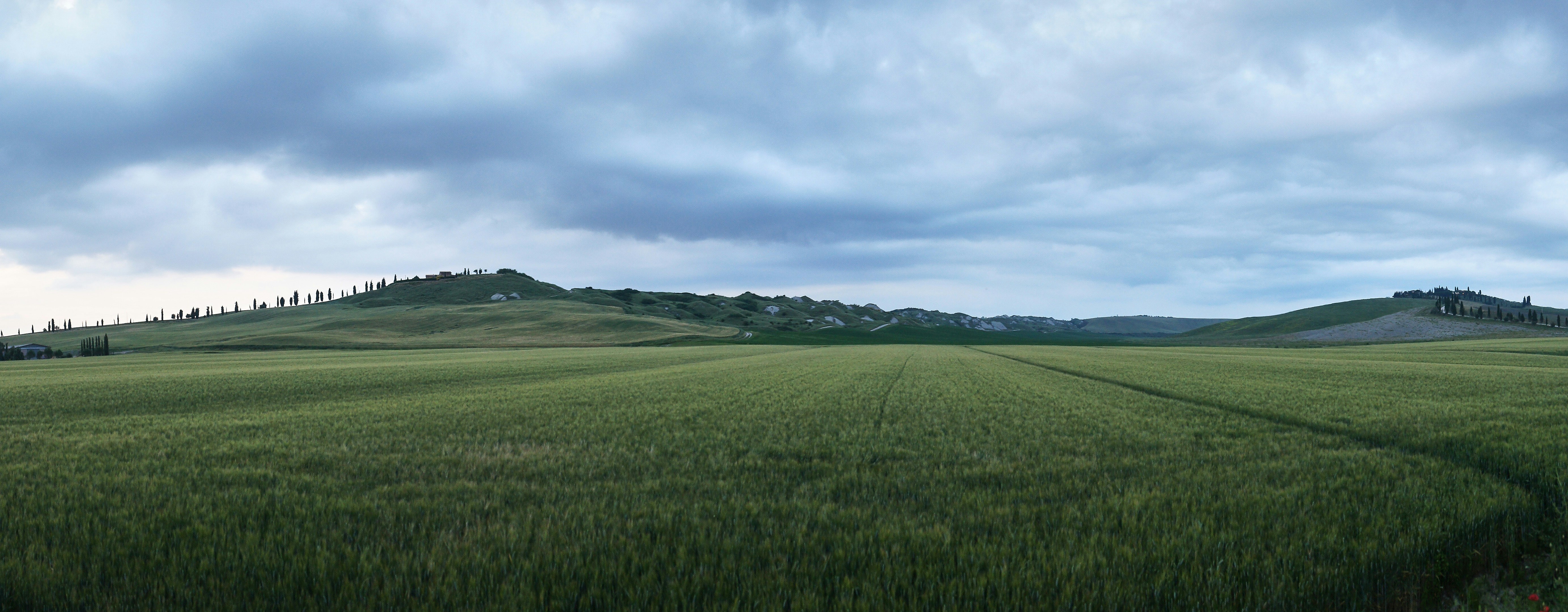 Photo by wolfgang_hasselmann