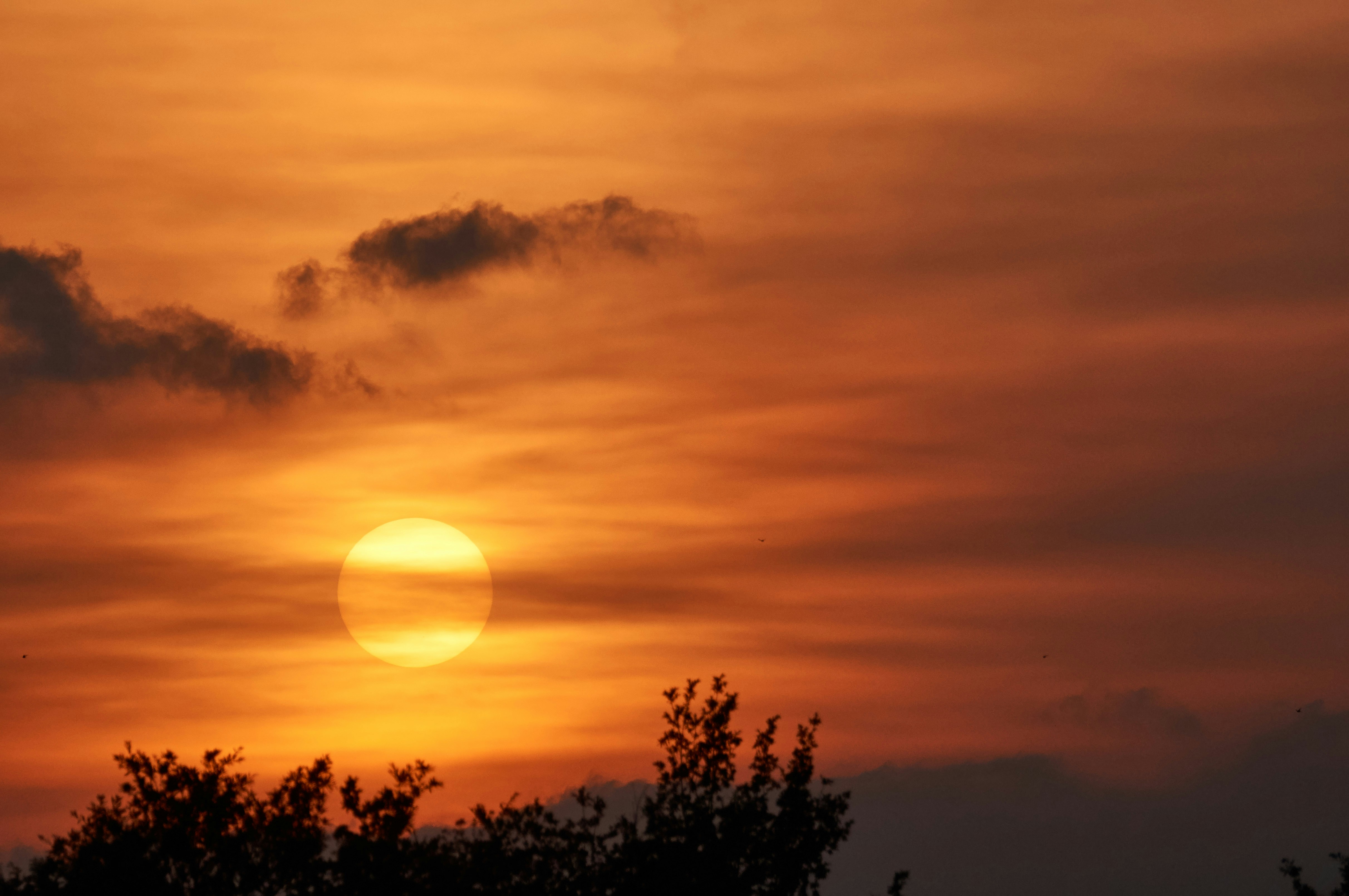 Photo by wolfgang_hasselmann