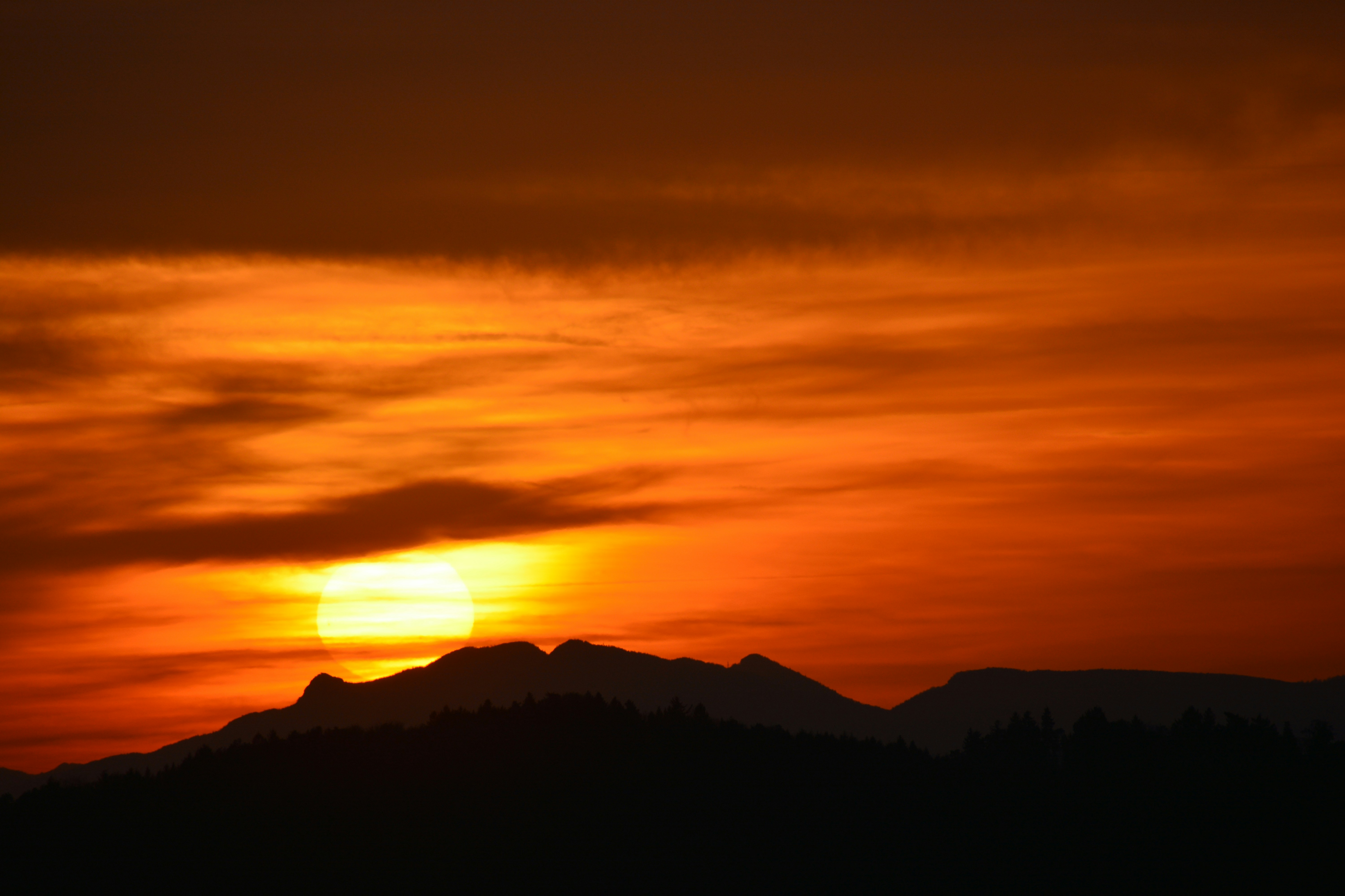 Photo by selvavaleska