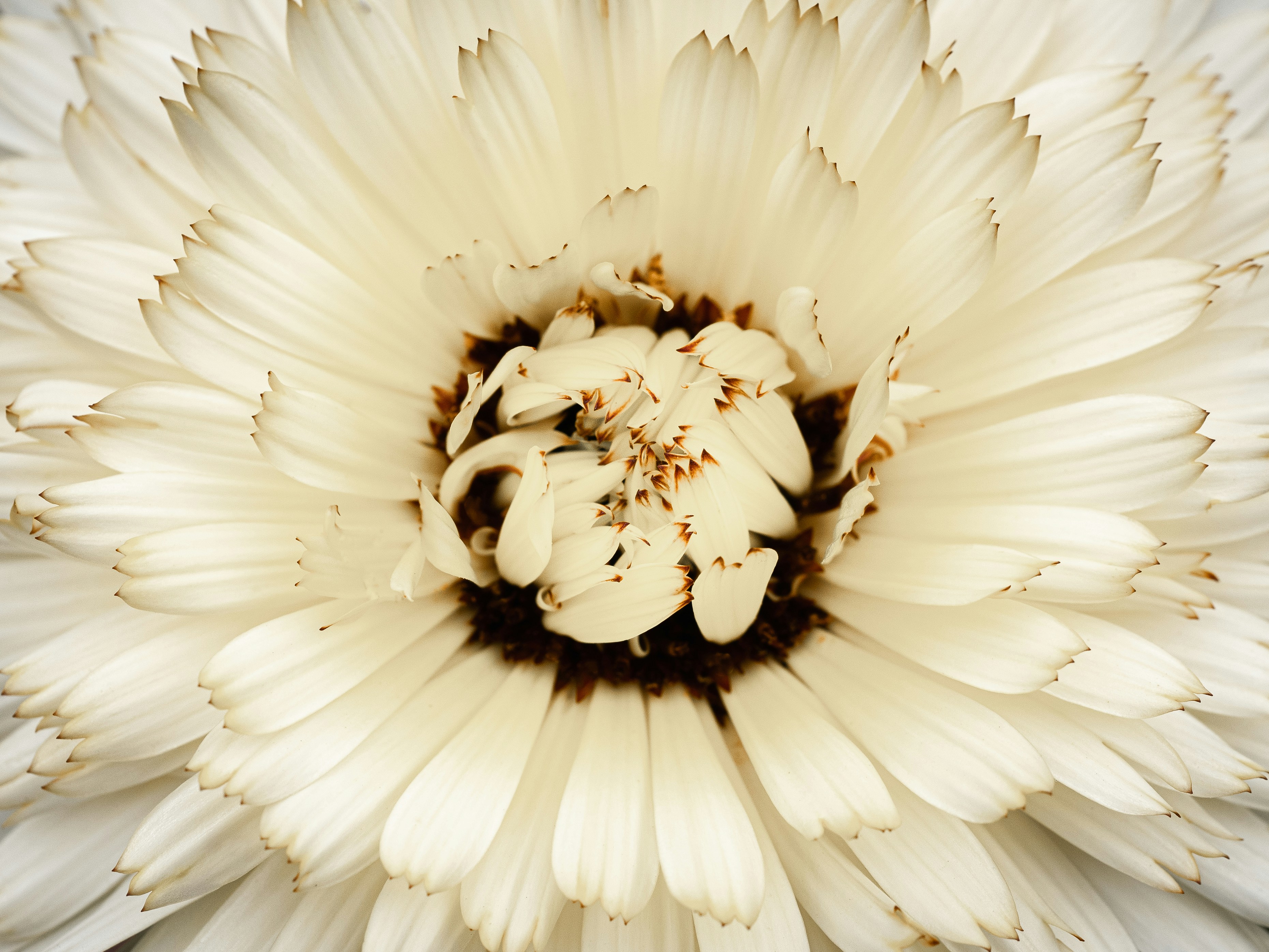 4인 가족이 가기 좋은 해외여행 장소는 어디인가요?