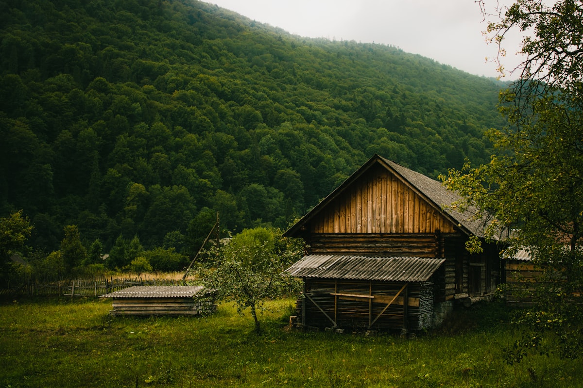 Де переночувати в Карпатах без бронювання: садиби, глемпінги та колиби