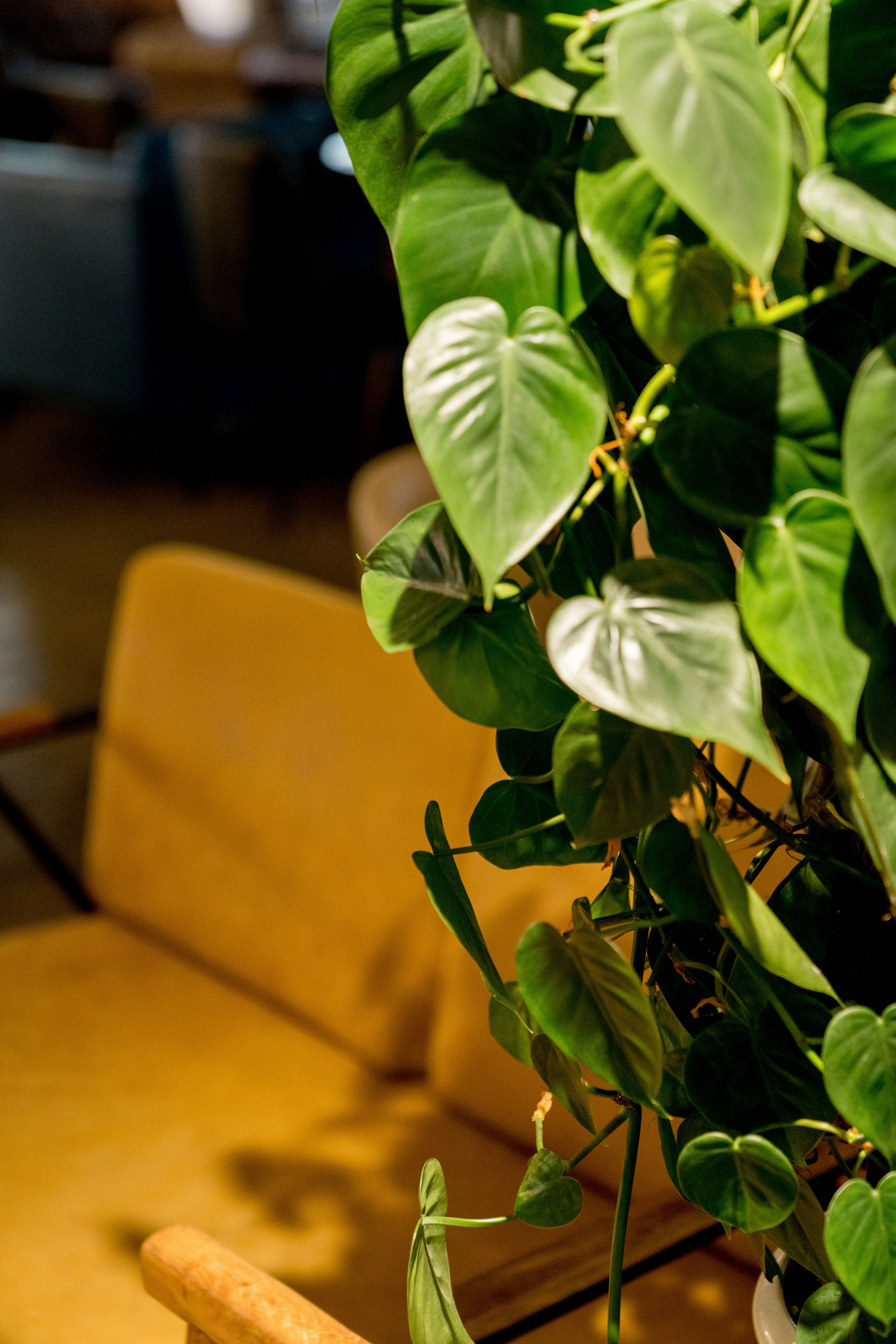 Photo by dropfastcollective