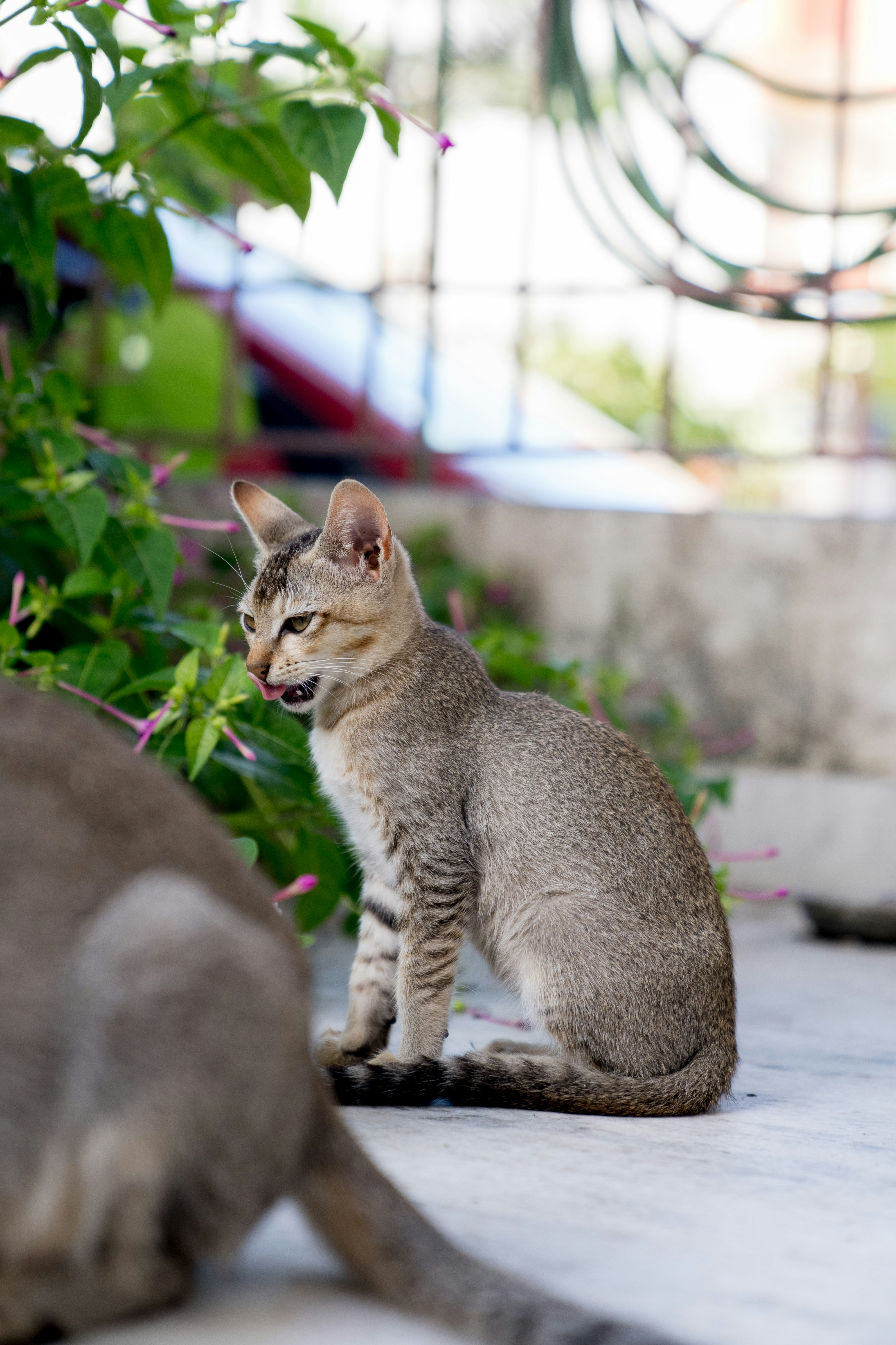 Photo by dropfastcollective