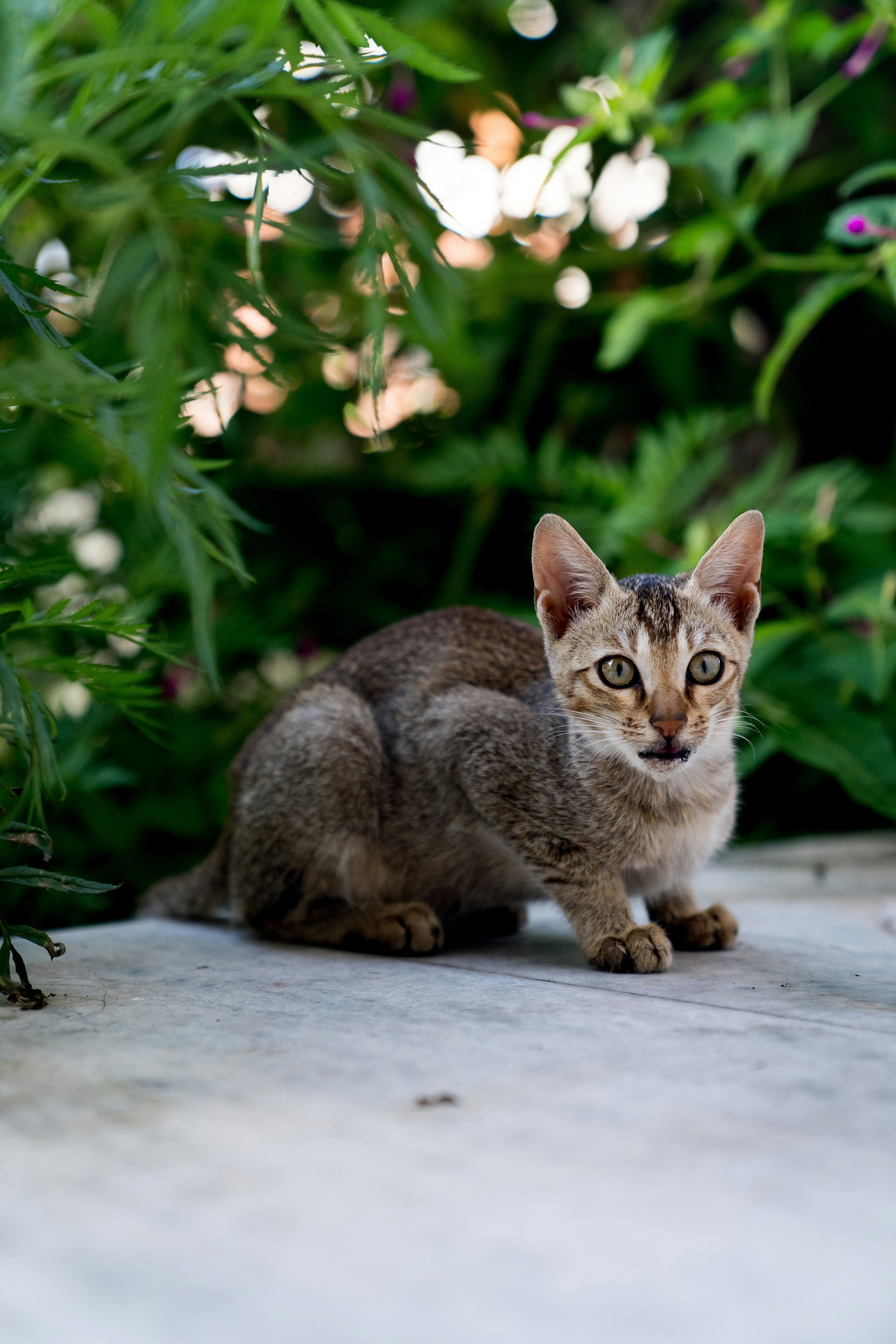 Photo by dropfastcollective