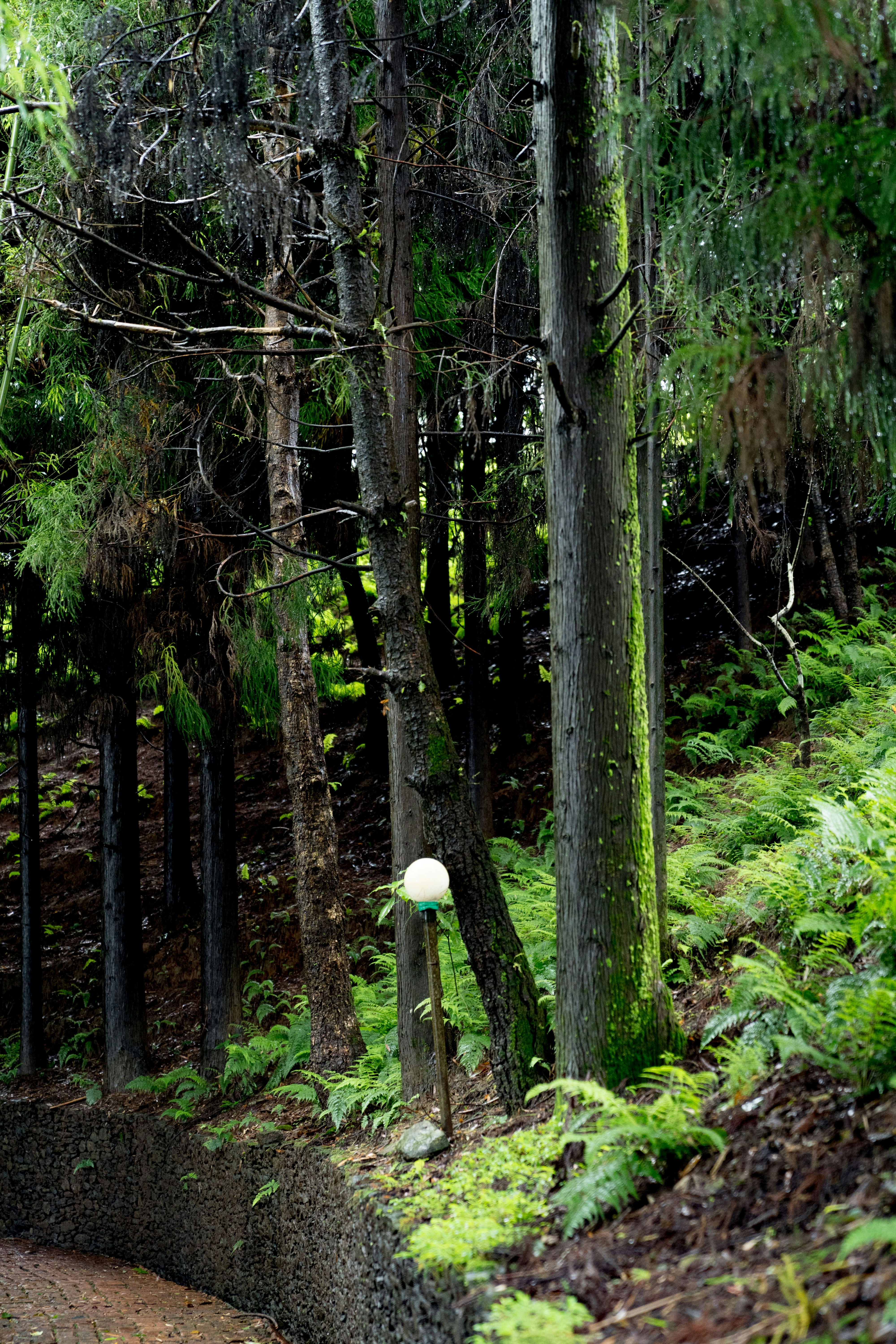 Photo by dropfastcollective