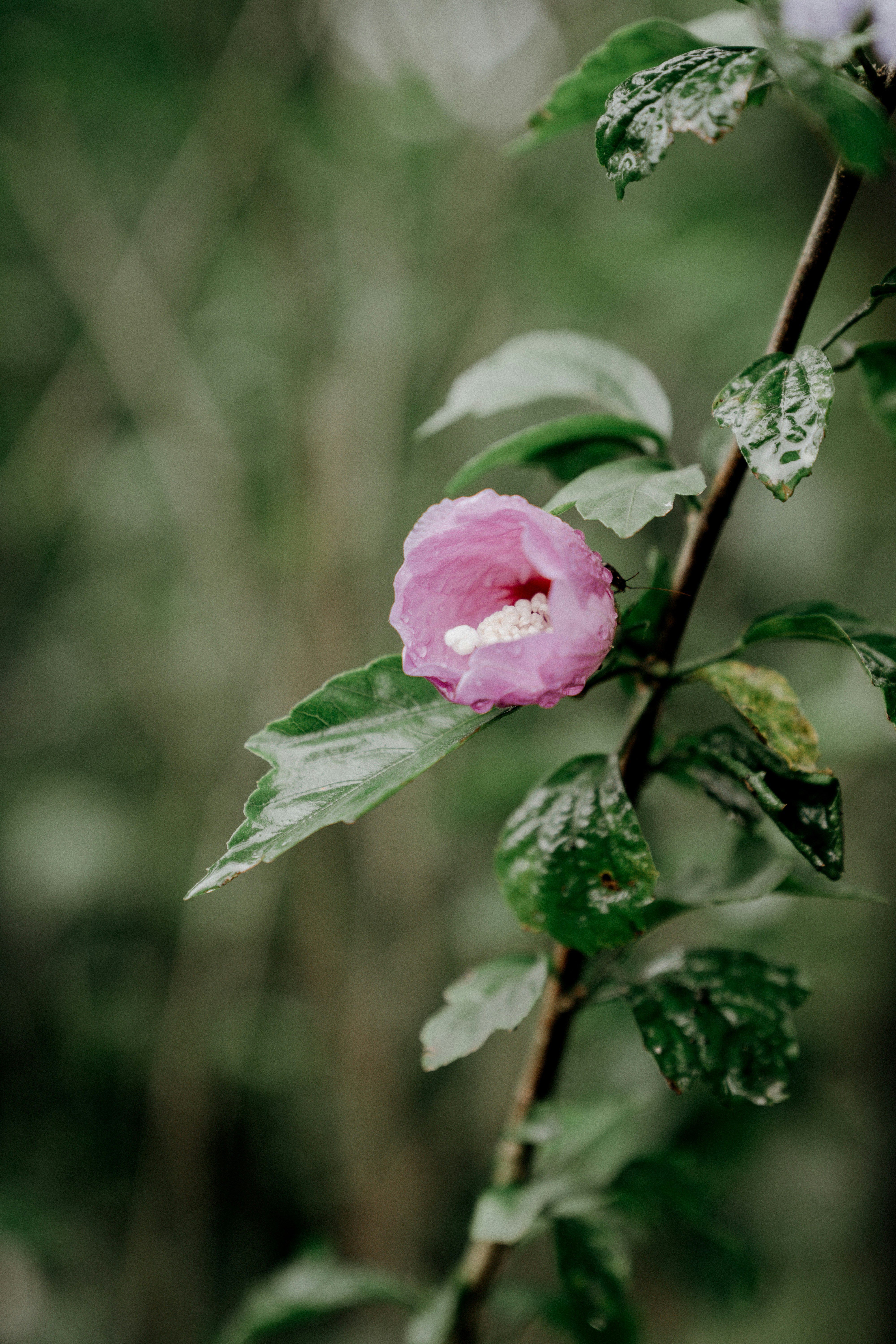 Photo by dropfastcollective