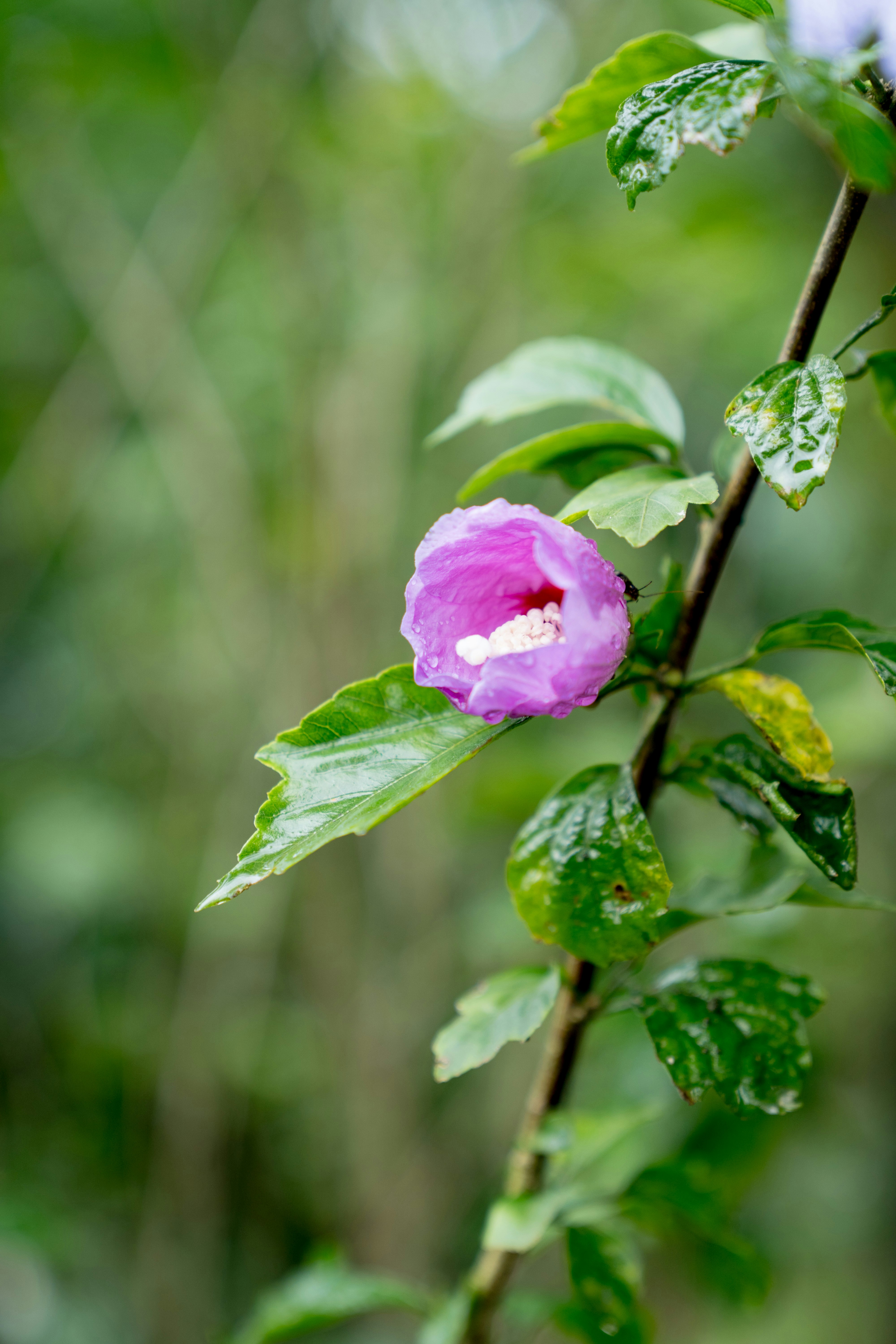 Photo by dropfastcollective