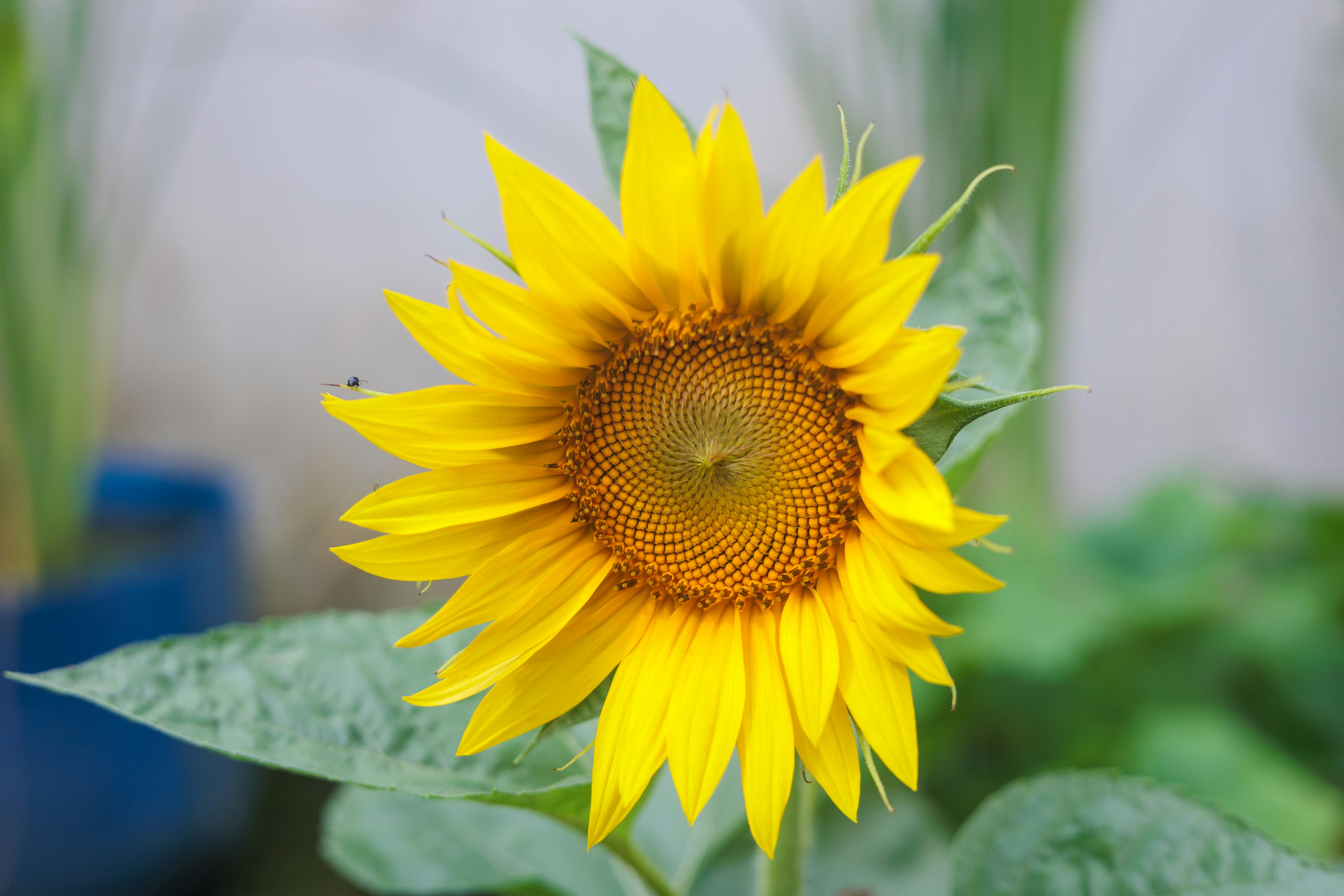 Photo by youngjun420