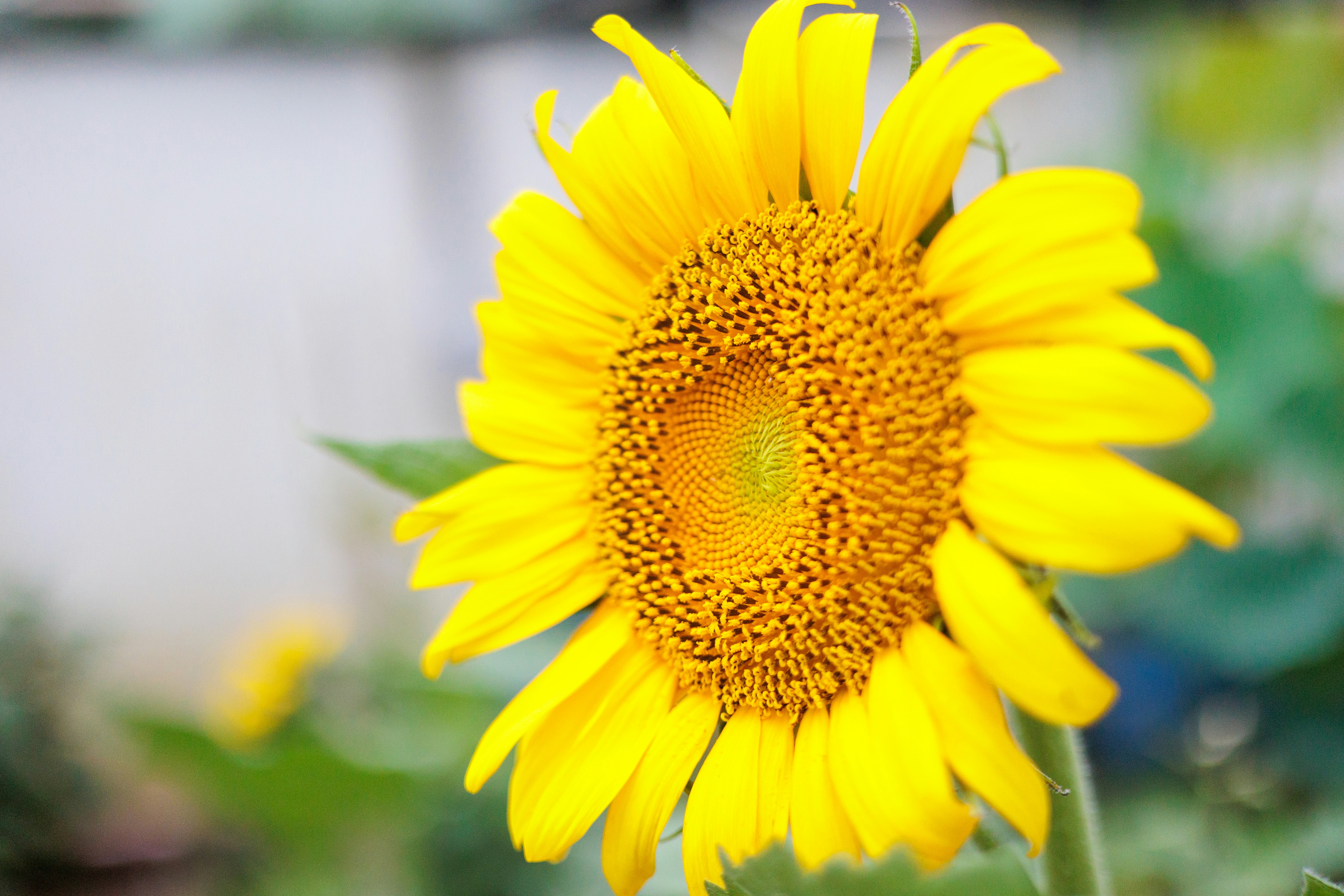 Photo by youngjun420