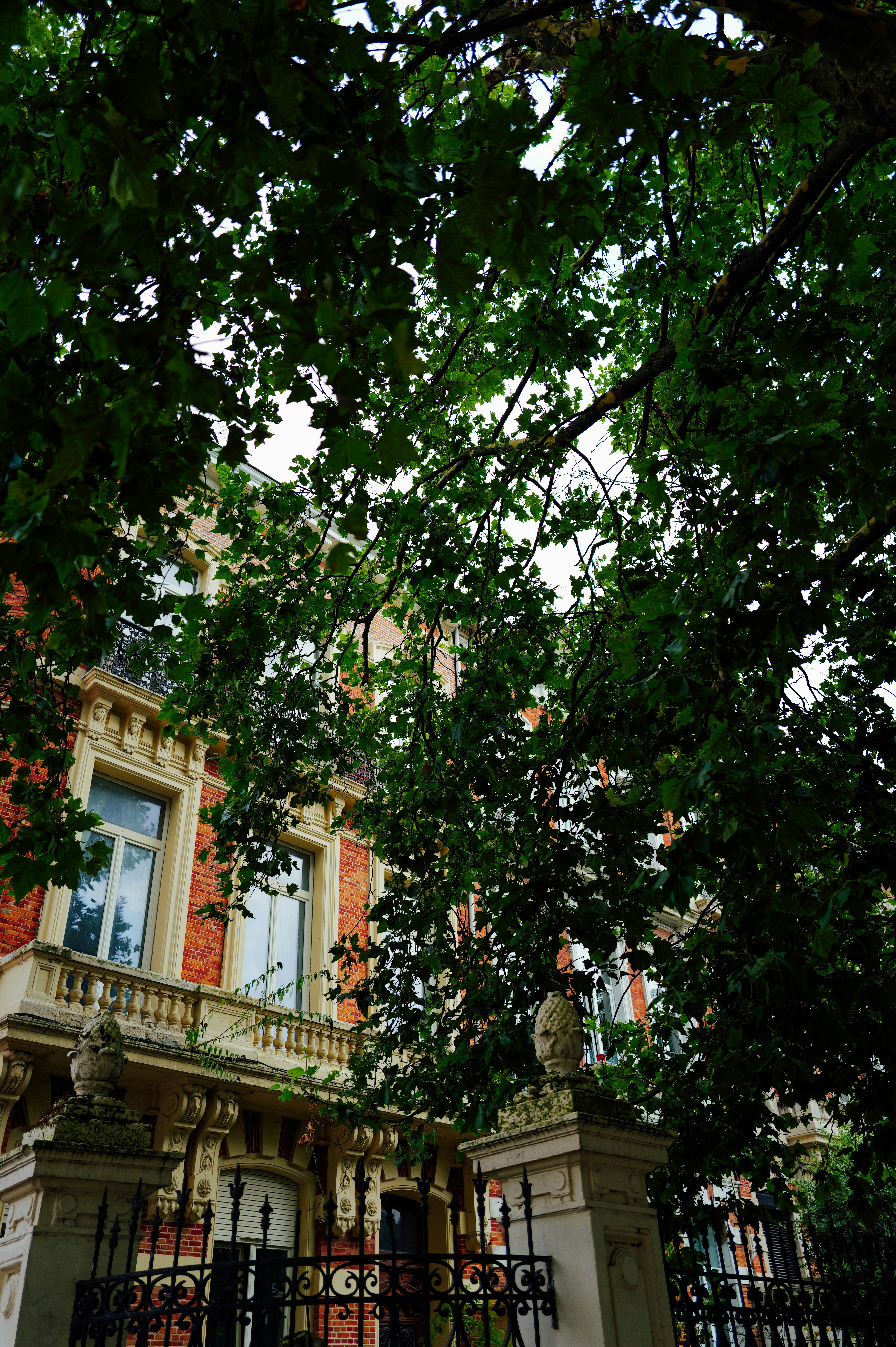 Photo by adrienolichon