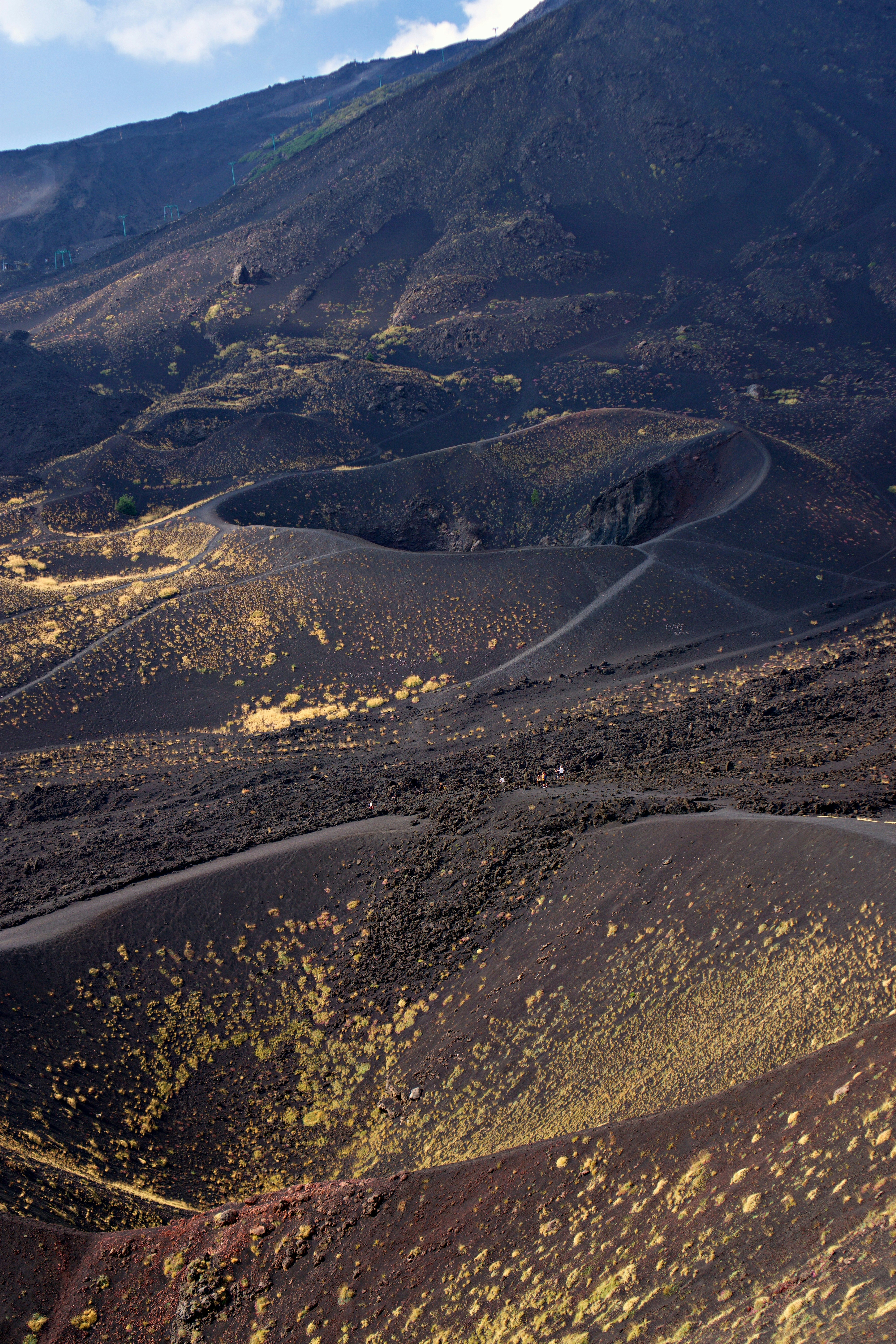 Photo by marco_biotico