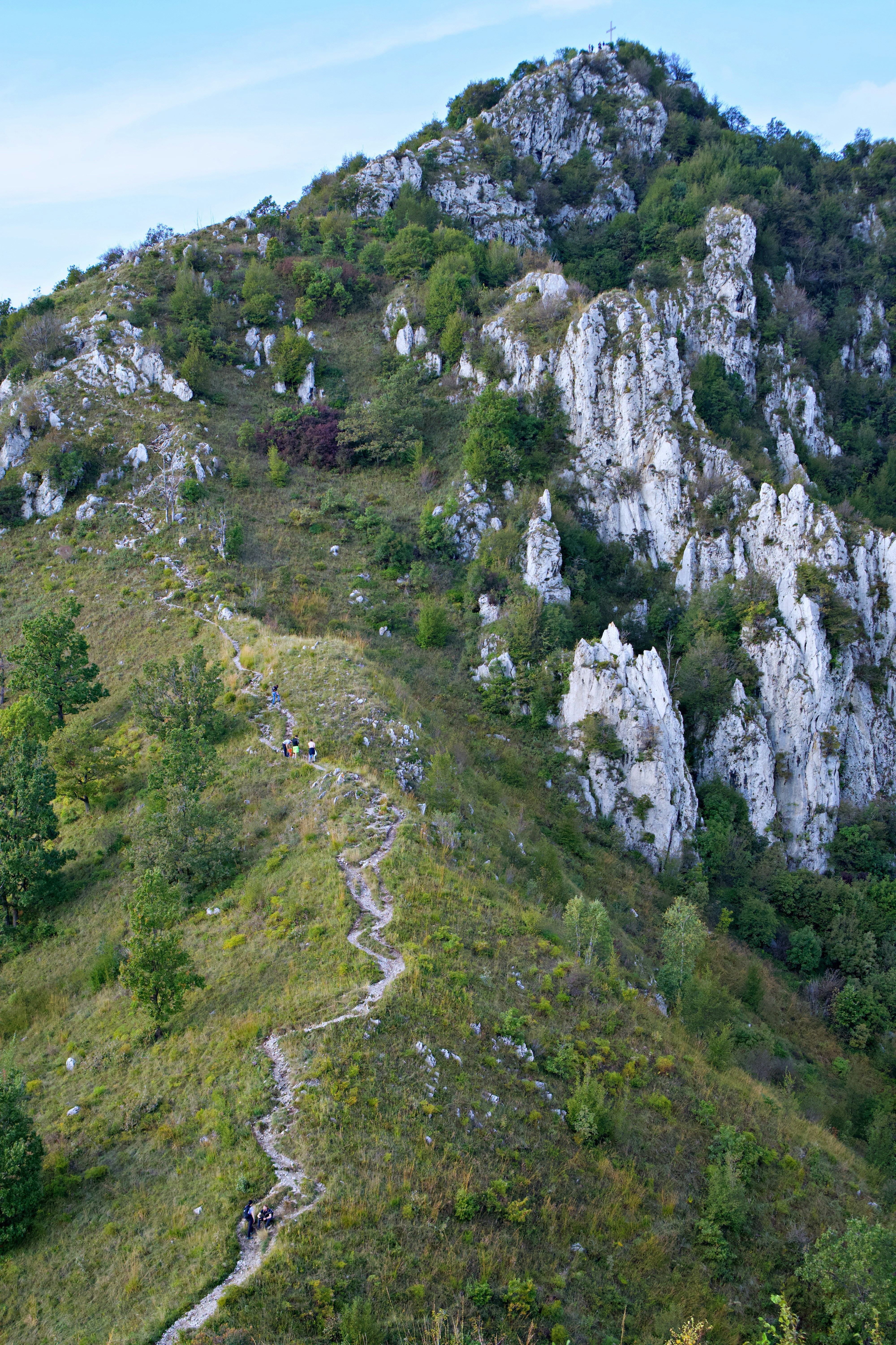 Photo by marco_biotico