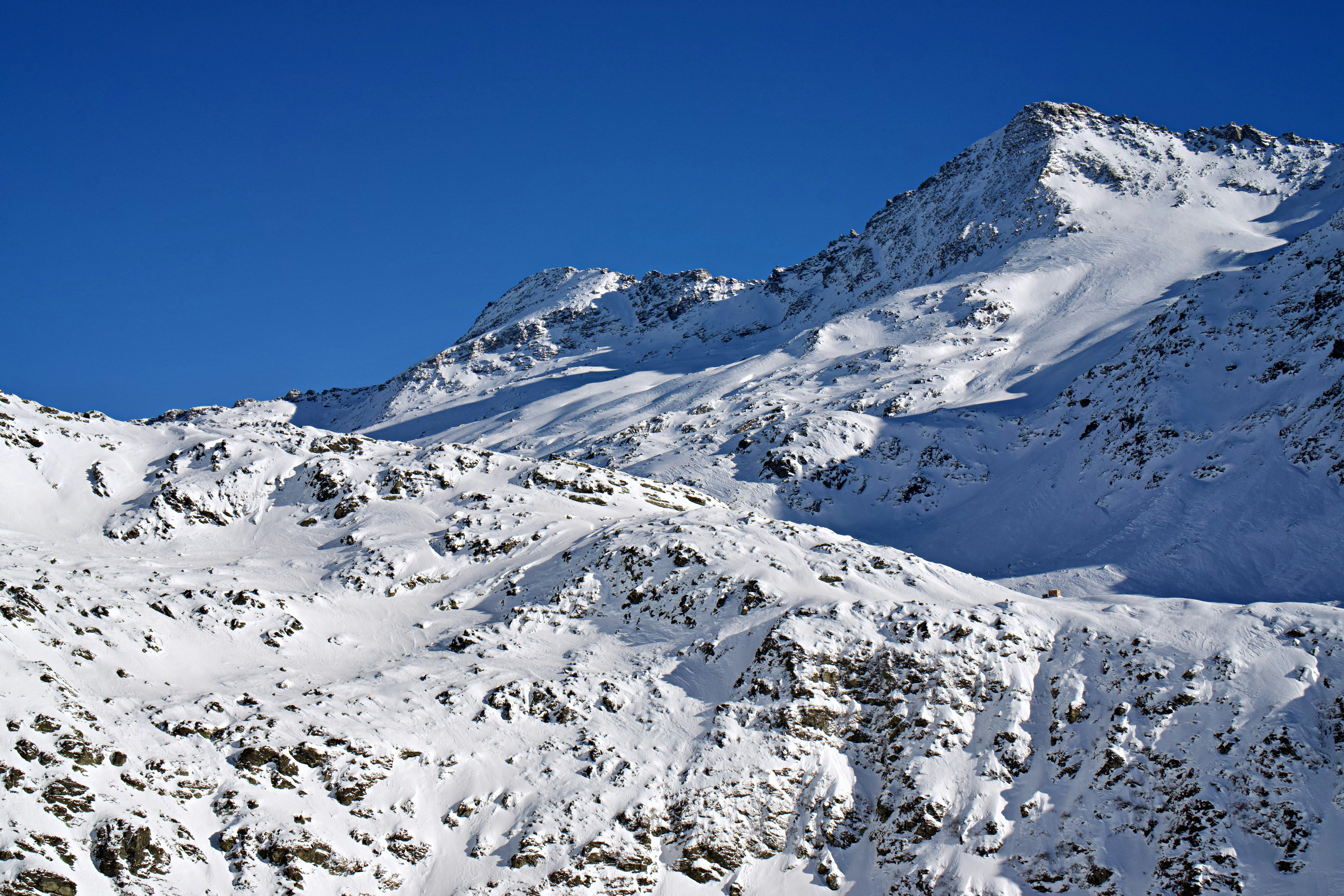 Photo by marco_biotico