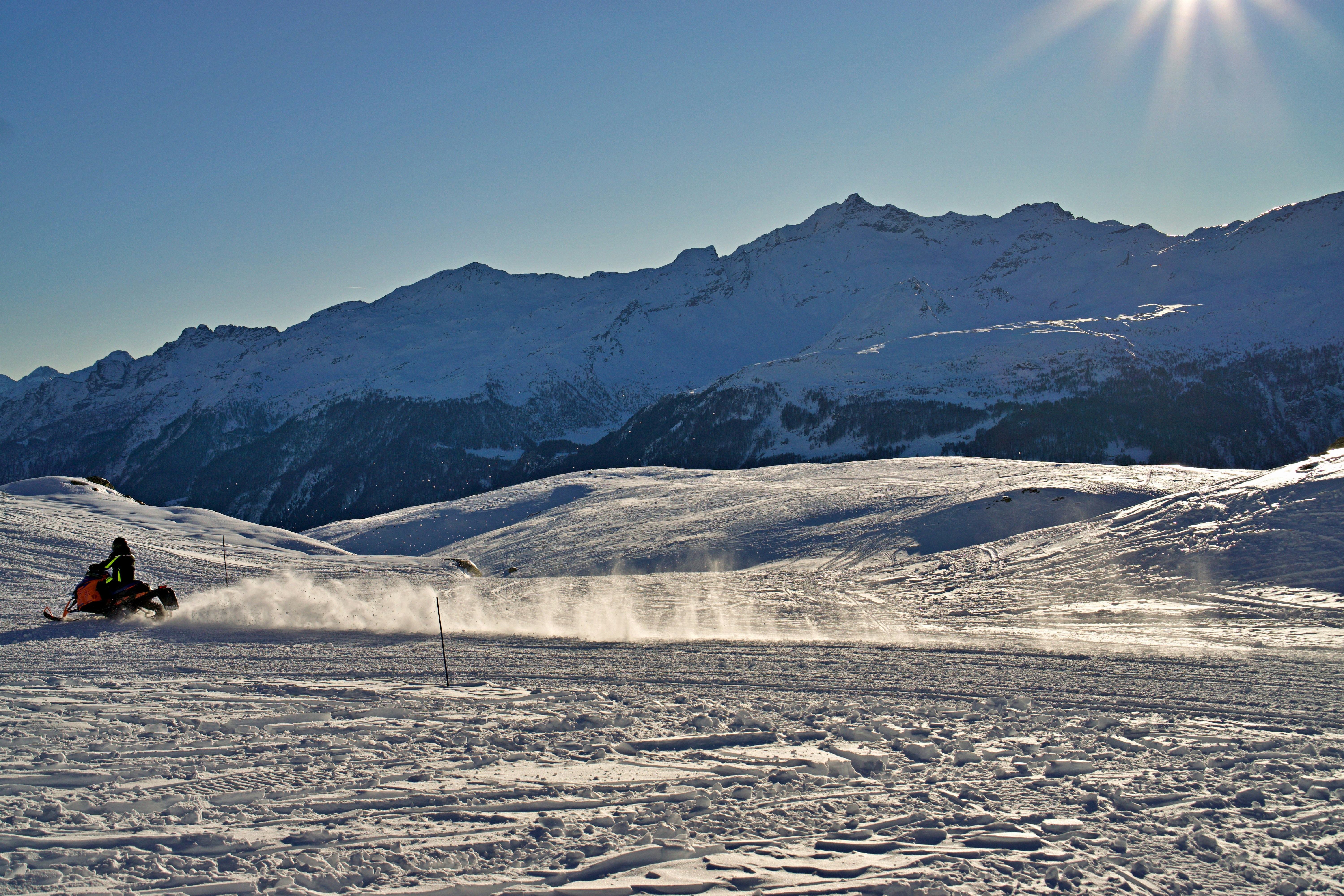 Photo by marco_biotico