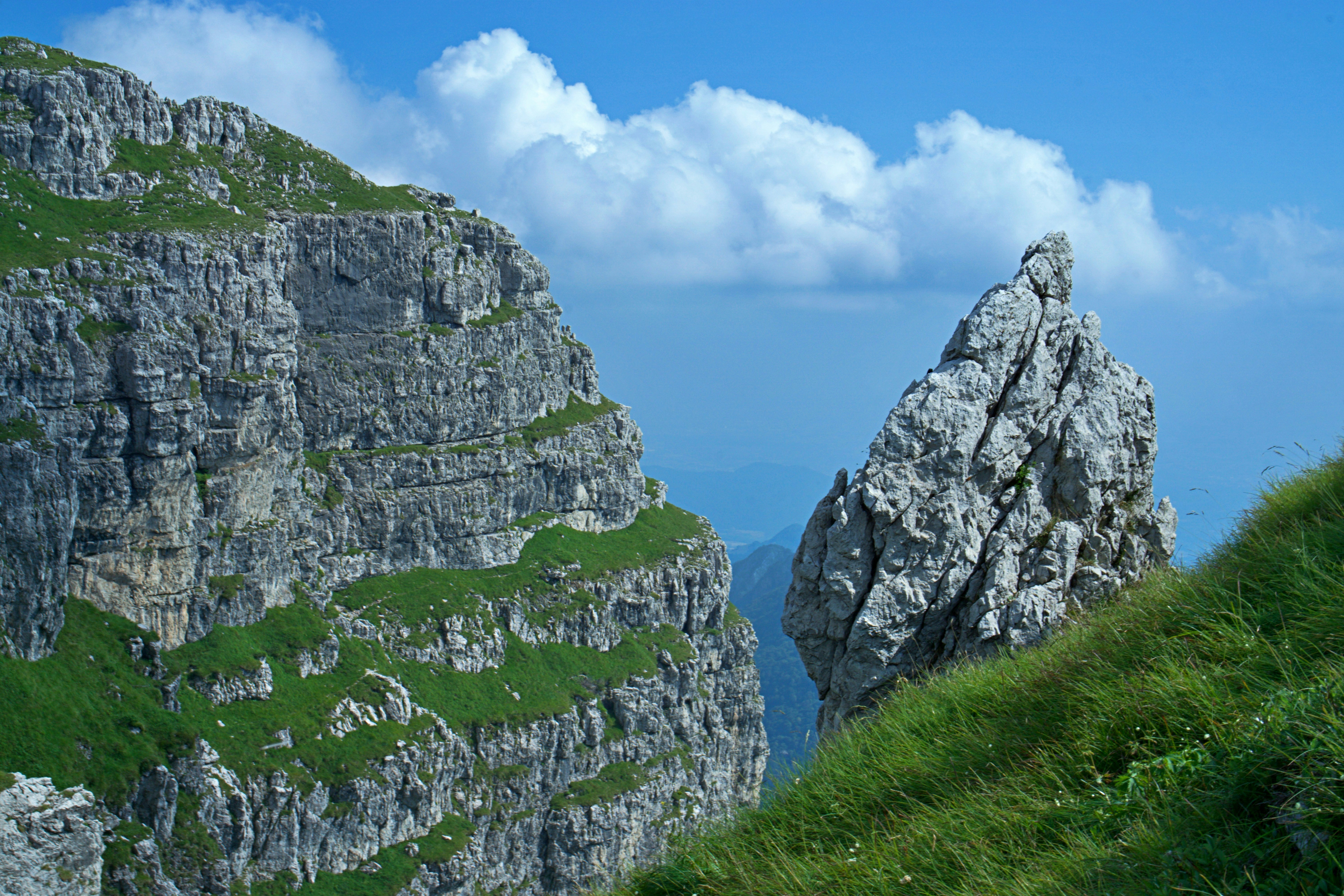 Photo by marco_biotico