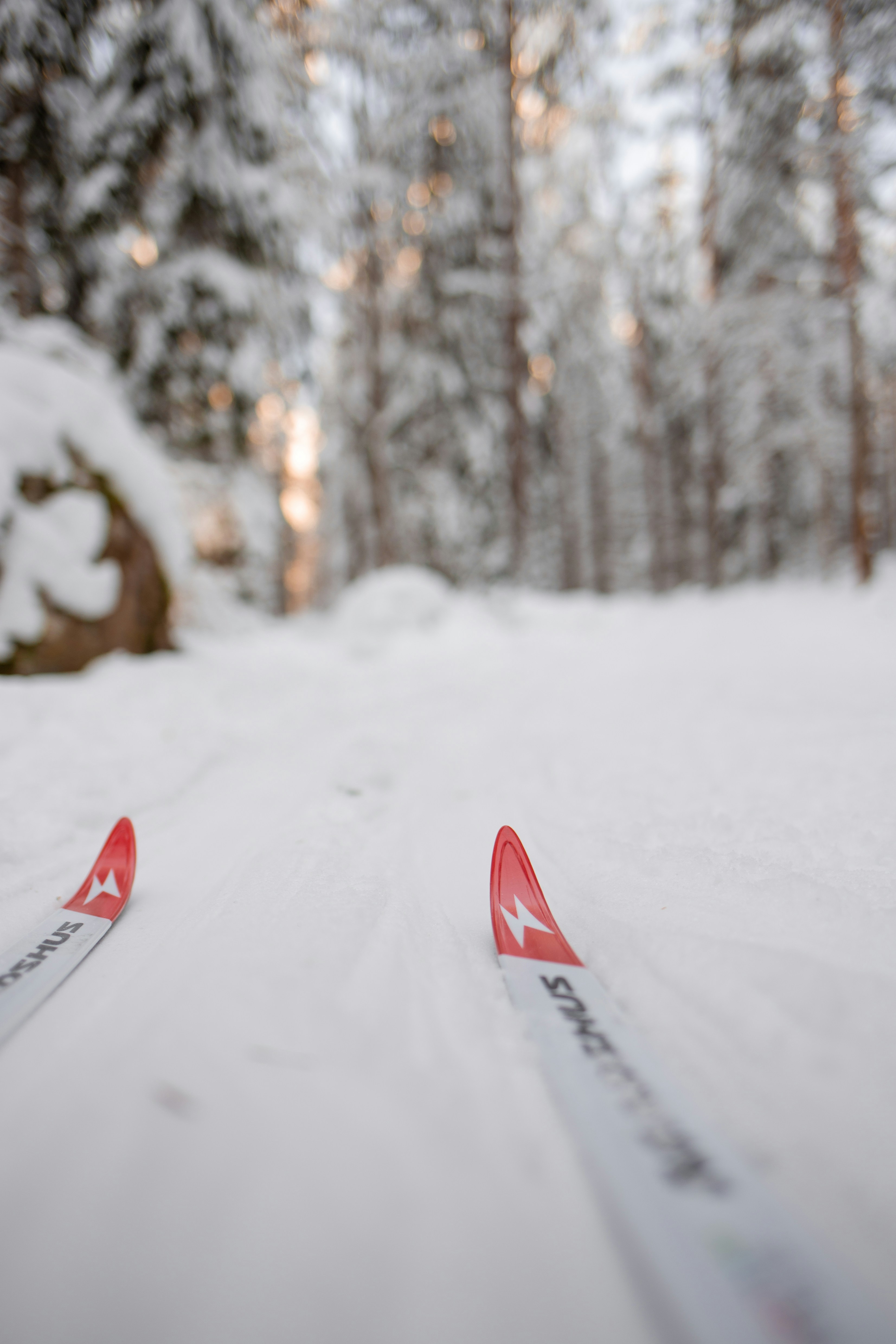 Sepasang ski duduk di atas lereng yang tertutup salju