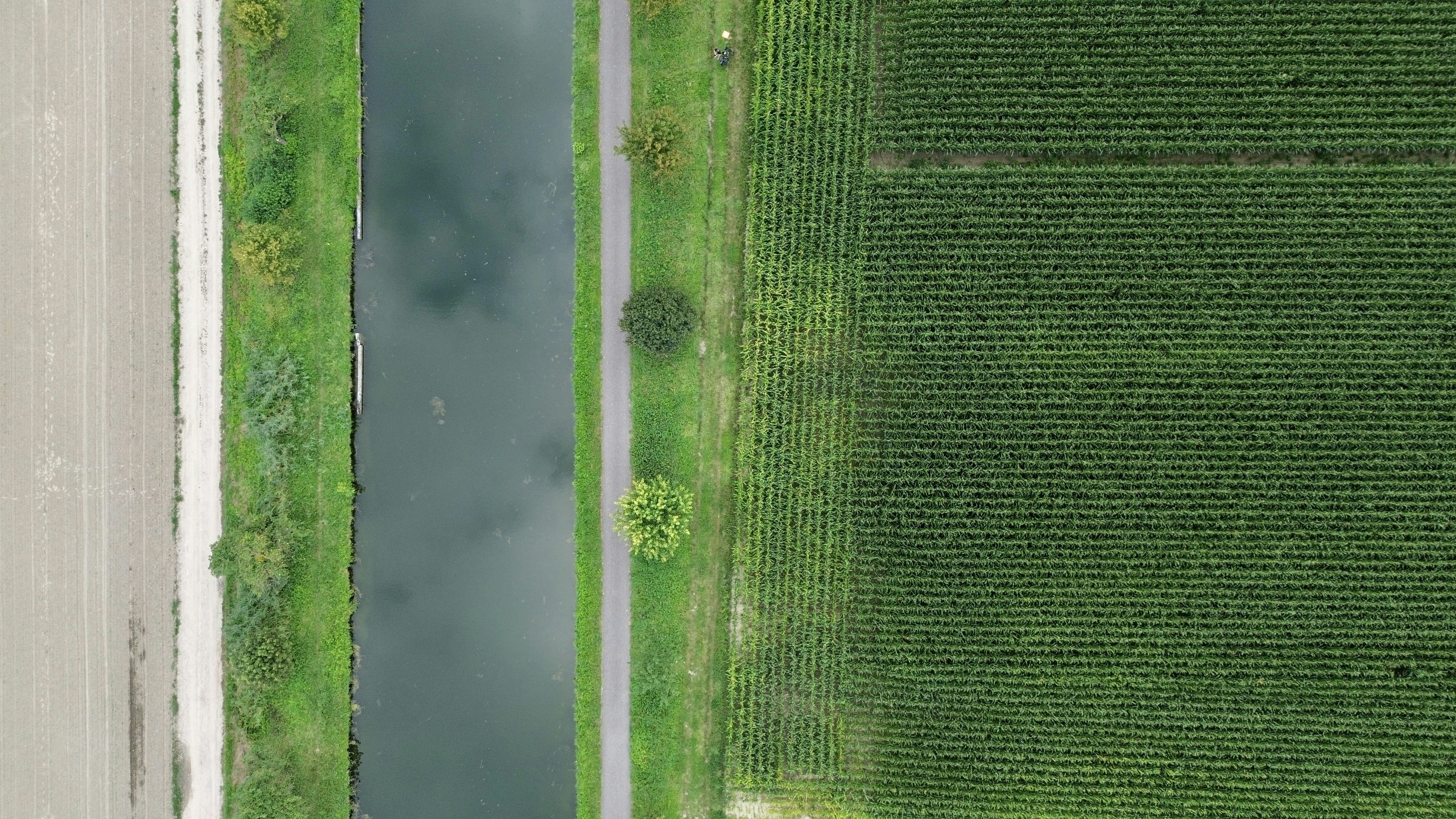 Photo by behivee_lens