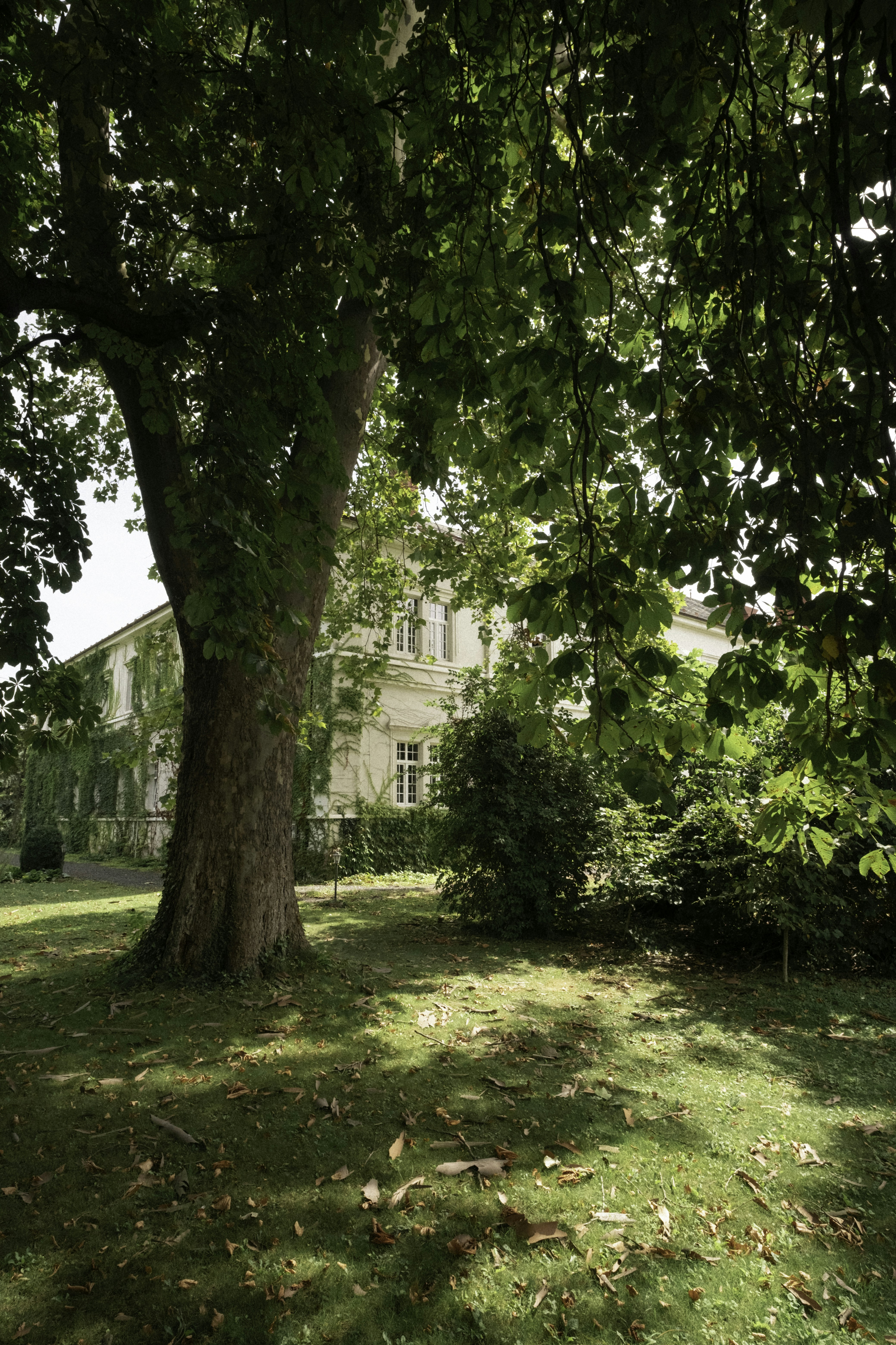 Photo by martin_siblik