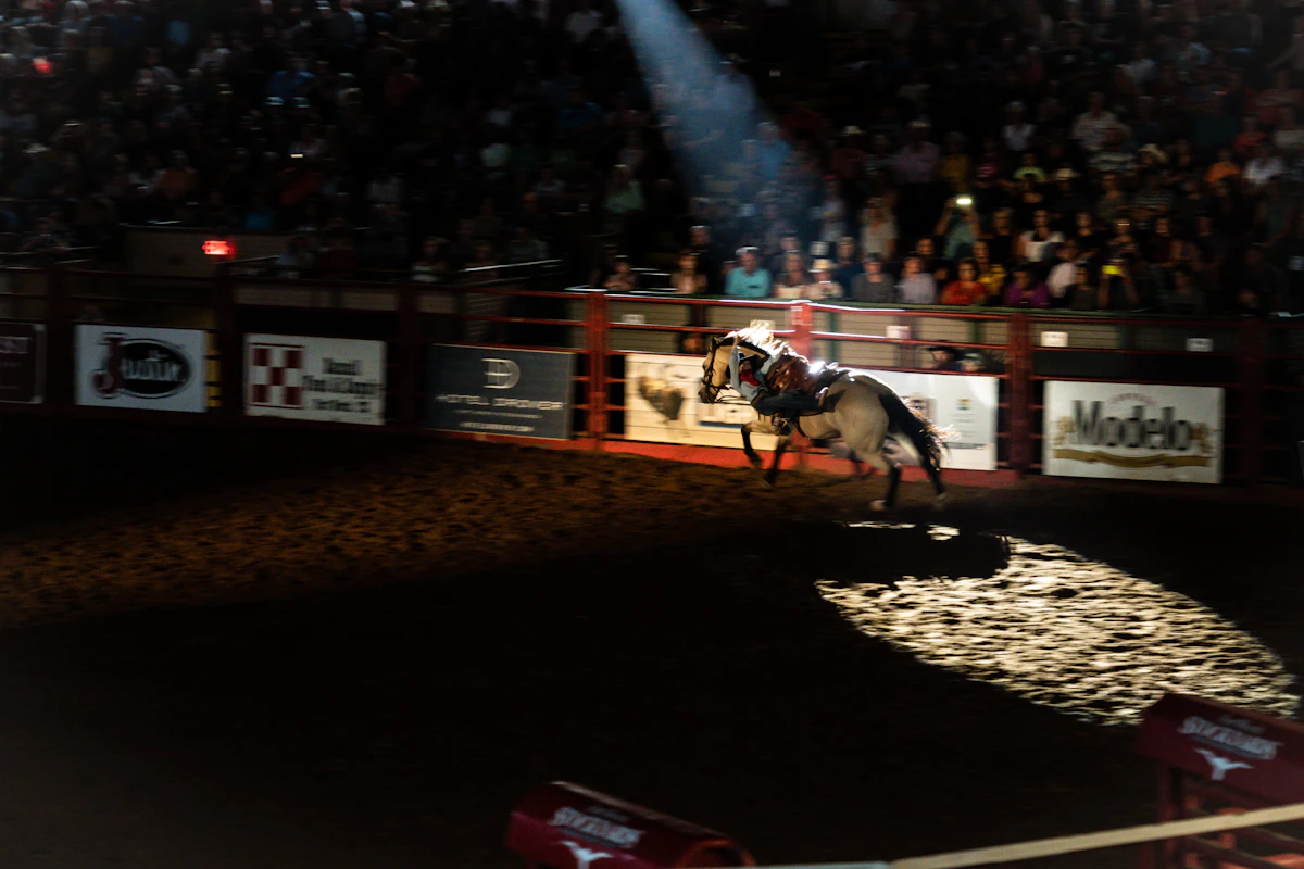 rodeo arena