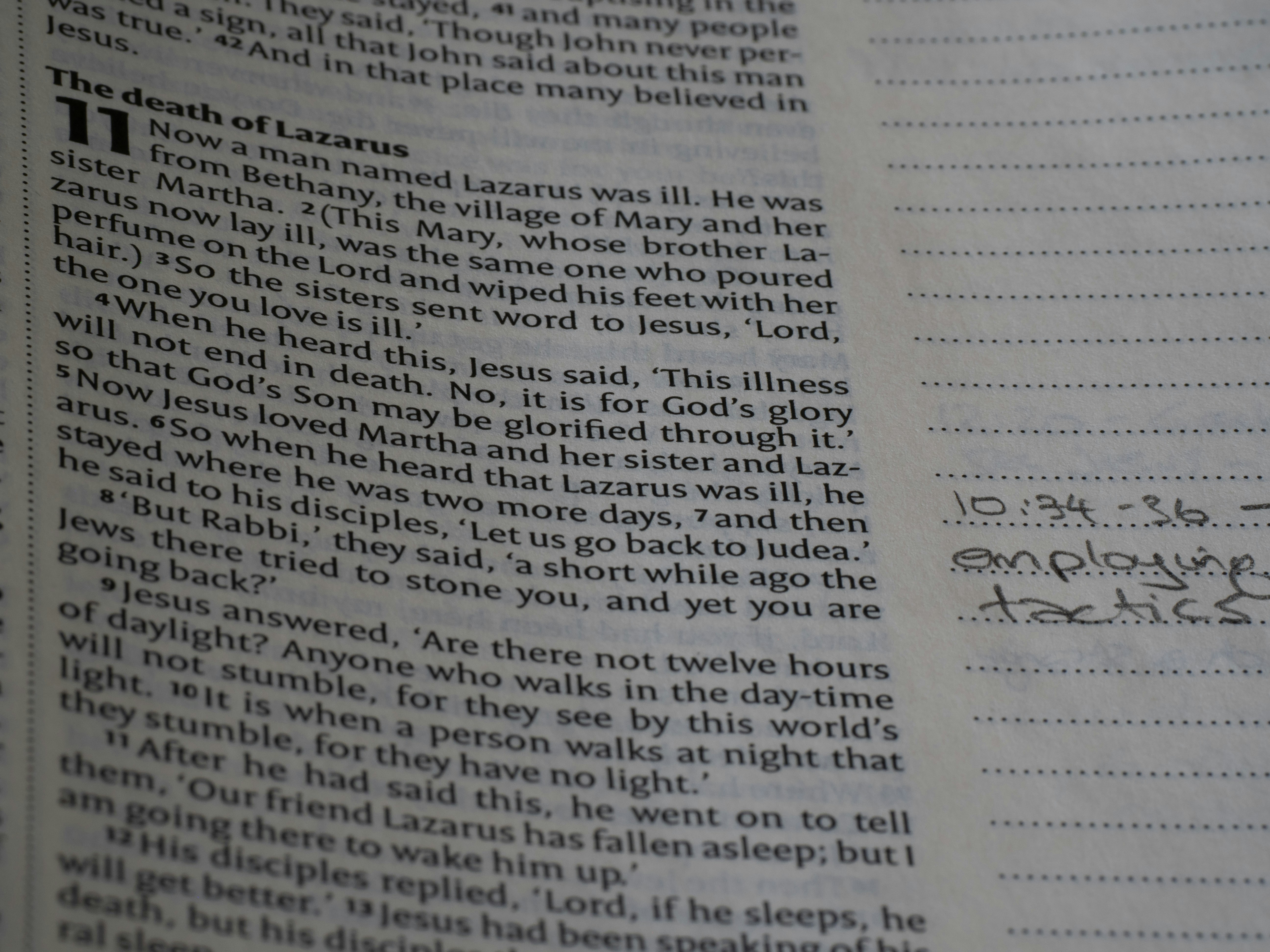 Photo by brett_jordan