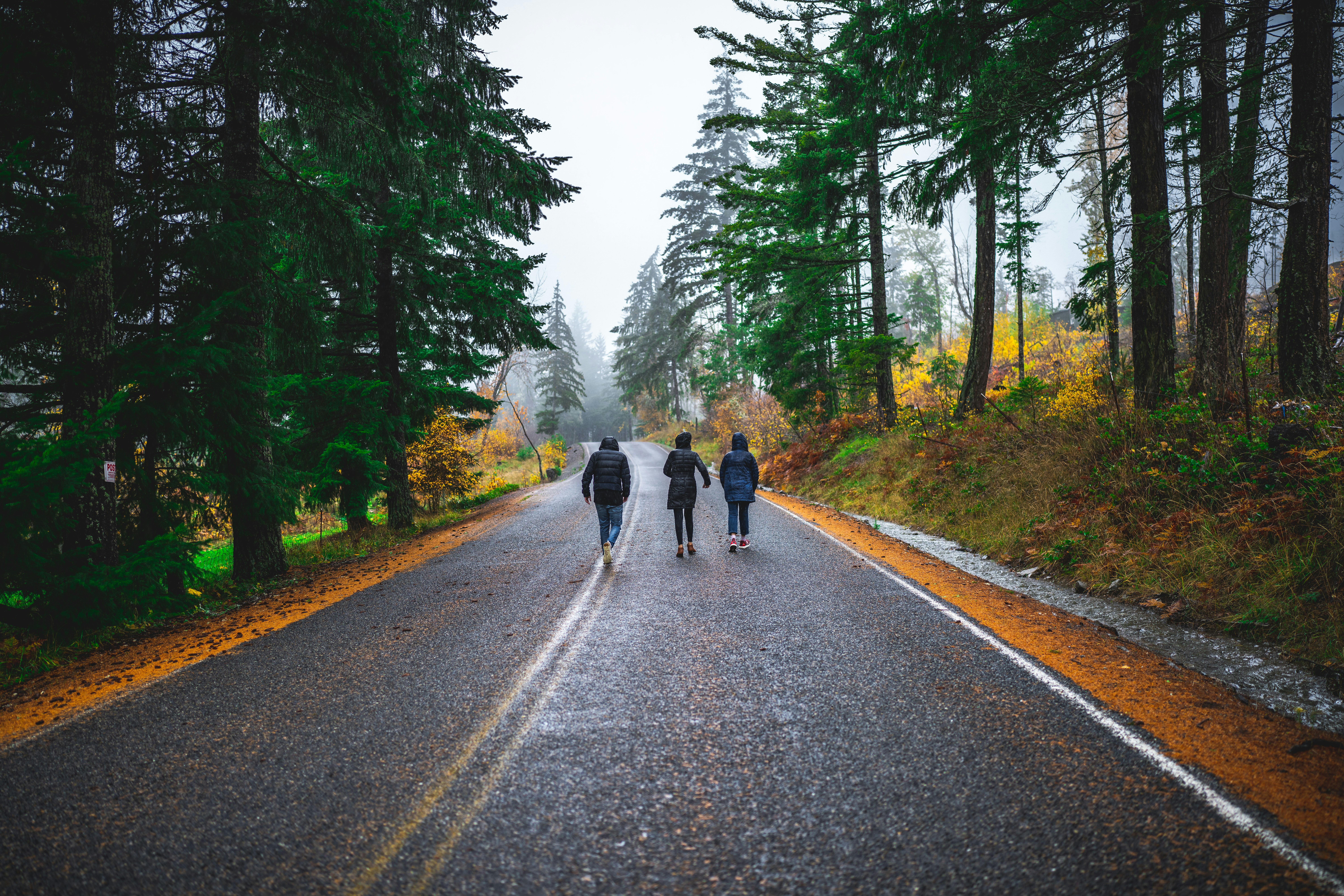 Photo by vasupendyalaa