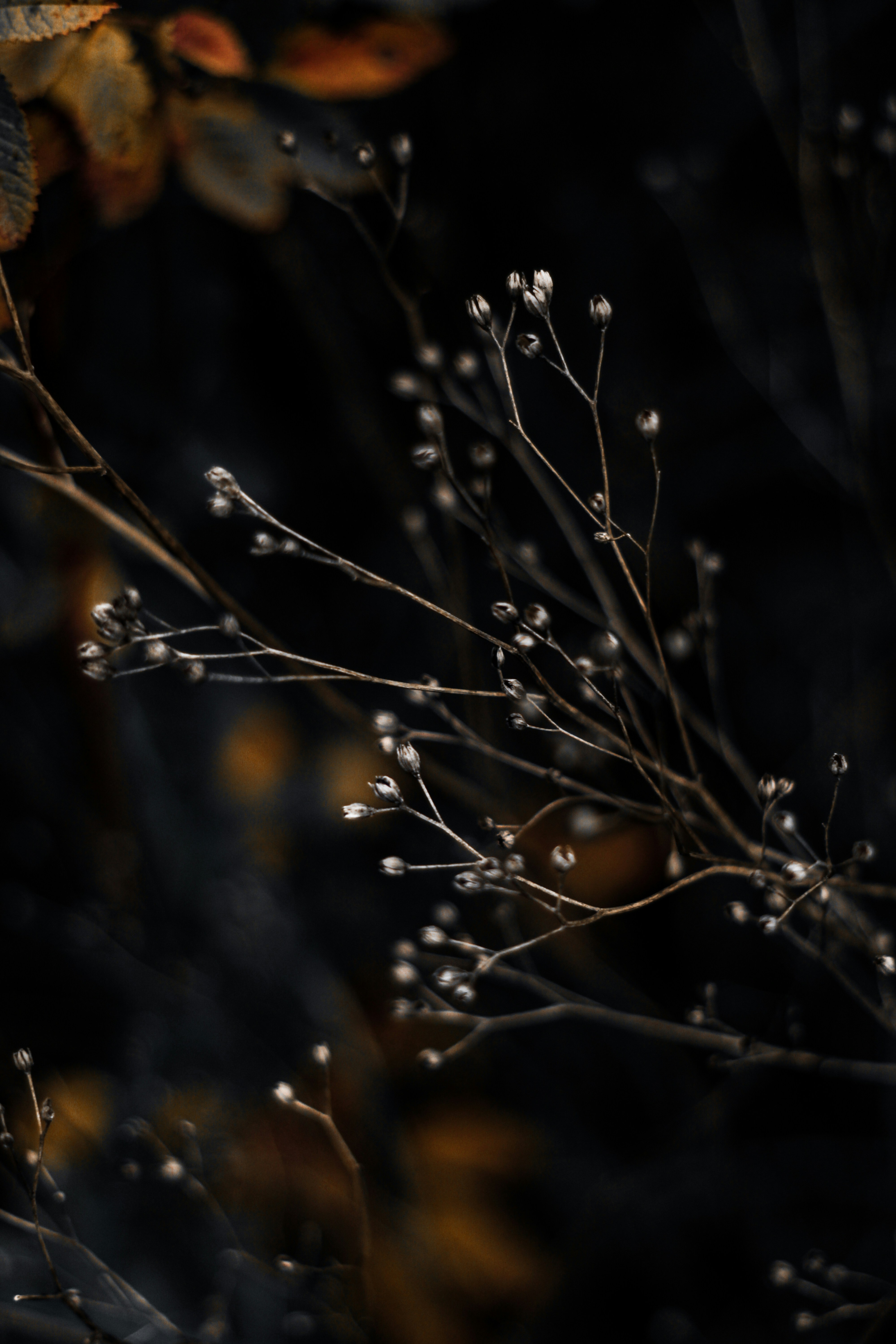 Photo by mineral_of_demon